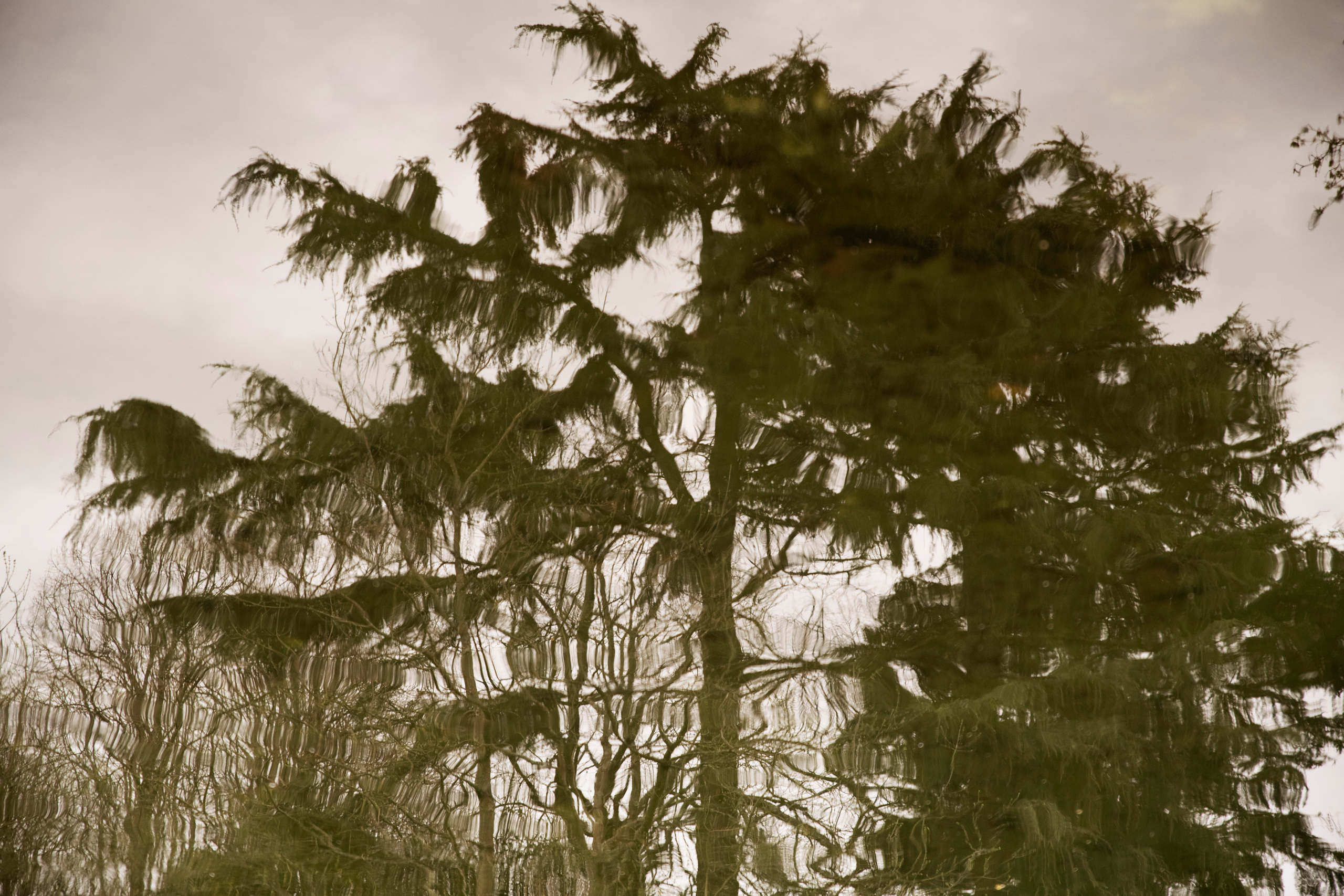 MOTHER (in progress). Anastasiia Antoniuk portrait, family and couple photographer, Portugal