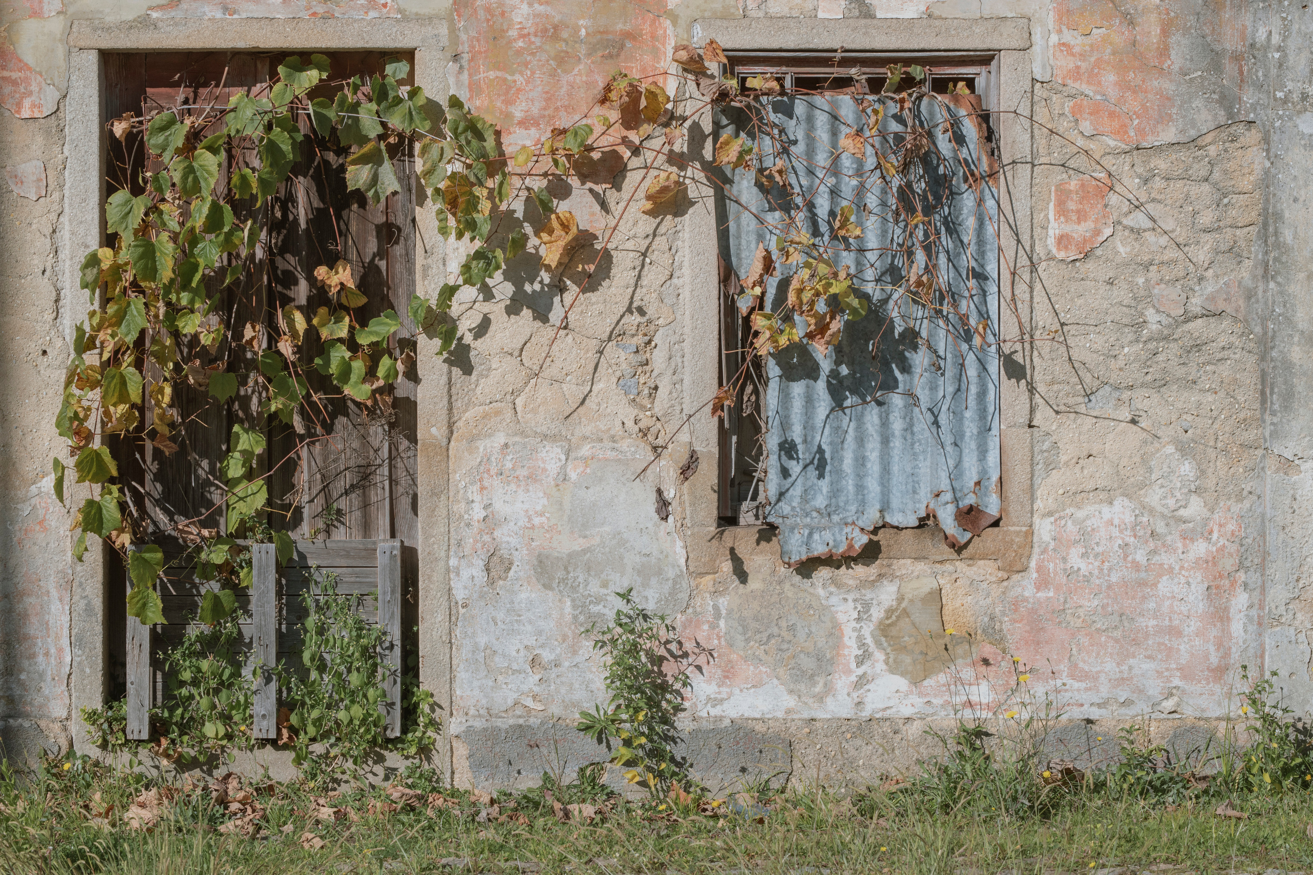 MOTHER (in progress). Anastasiia Antoniuk portrait, family and couple photographer, Portugal