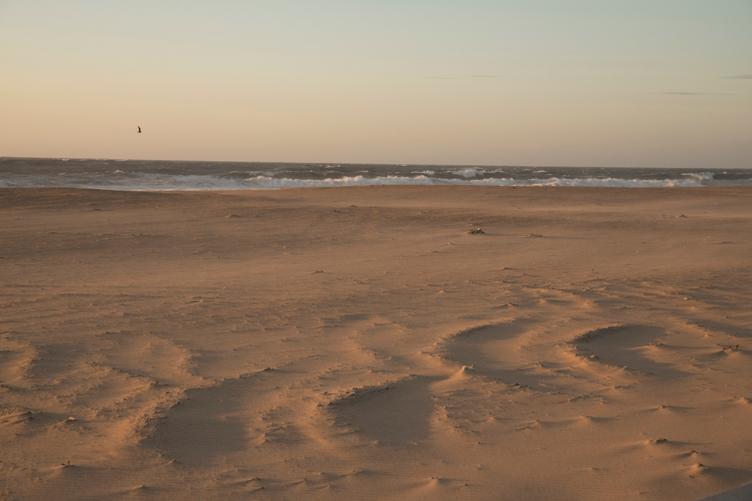 RECONSTRUCTION. Anastasiia Antoniuk portrait, family and couple photographer, Portugal