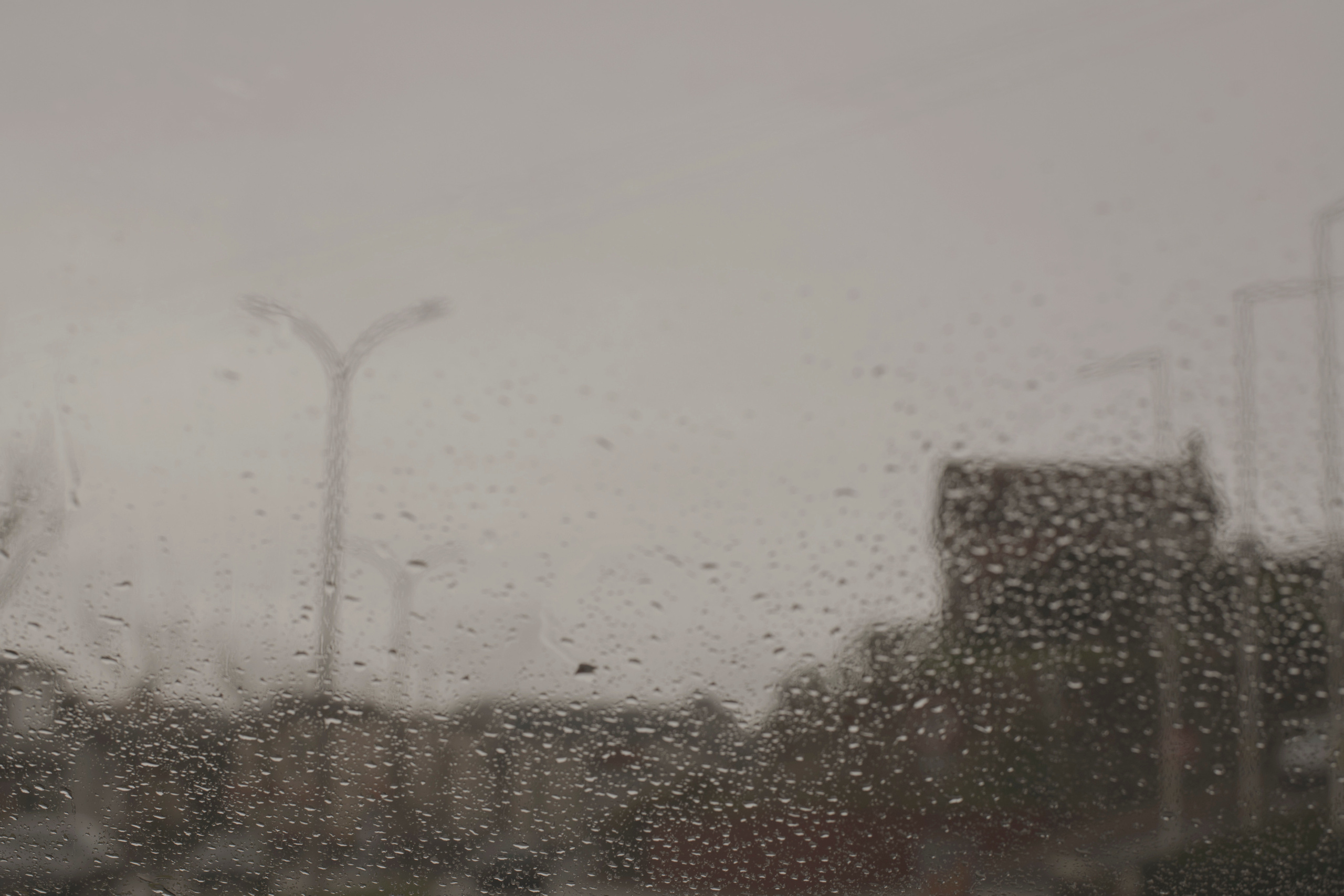 MOTHER (in progress). Anastasiia Antoniuk portrait, family and couple photographer, Portugal