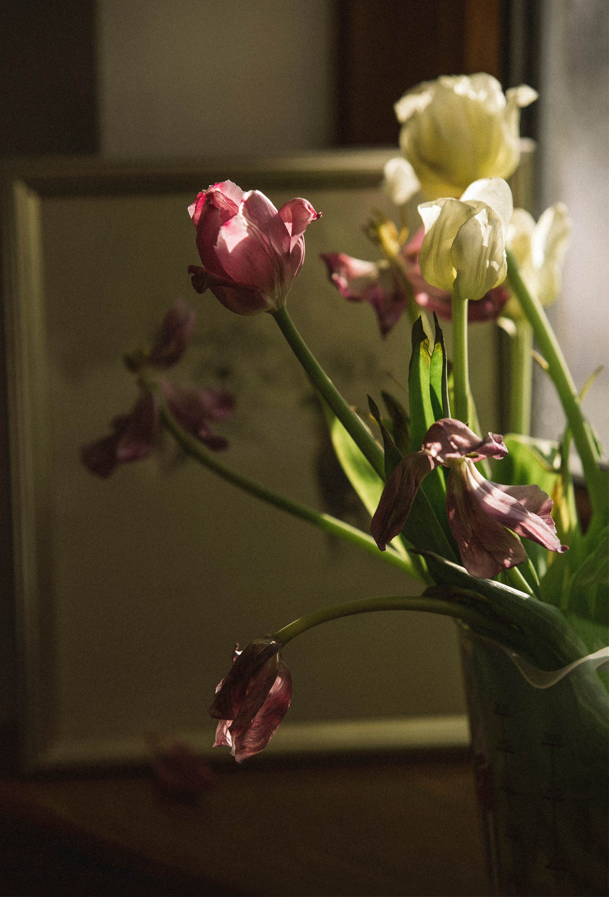 MOTHER (in progress). Anastasiia Antoniuk portrait, family and couple photographer, Portugal