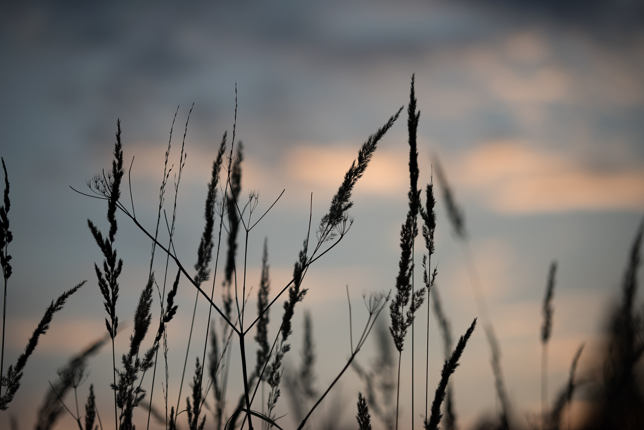 MOTHER (in progress). Anastasiia Antoniuk portrait, family and couple photographer, Portugal