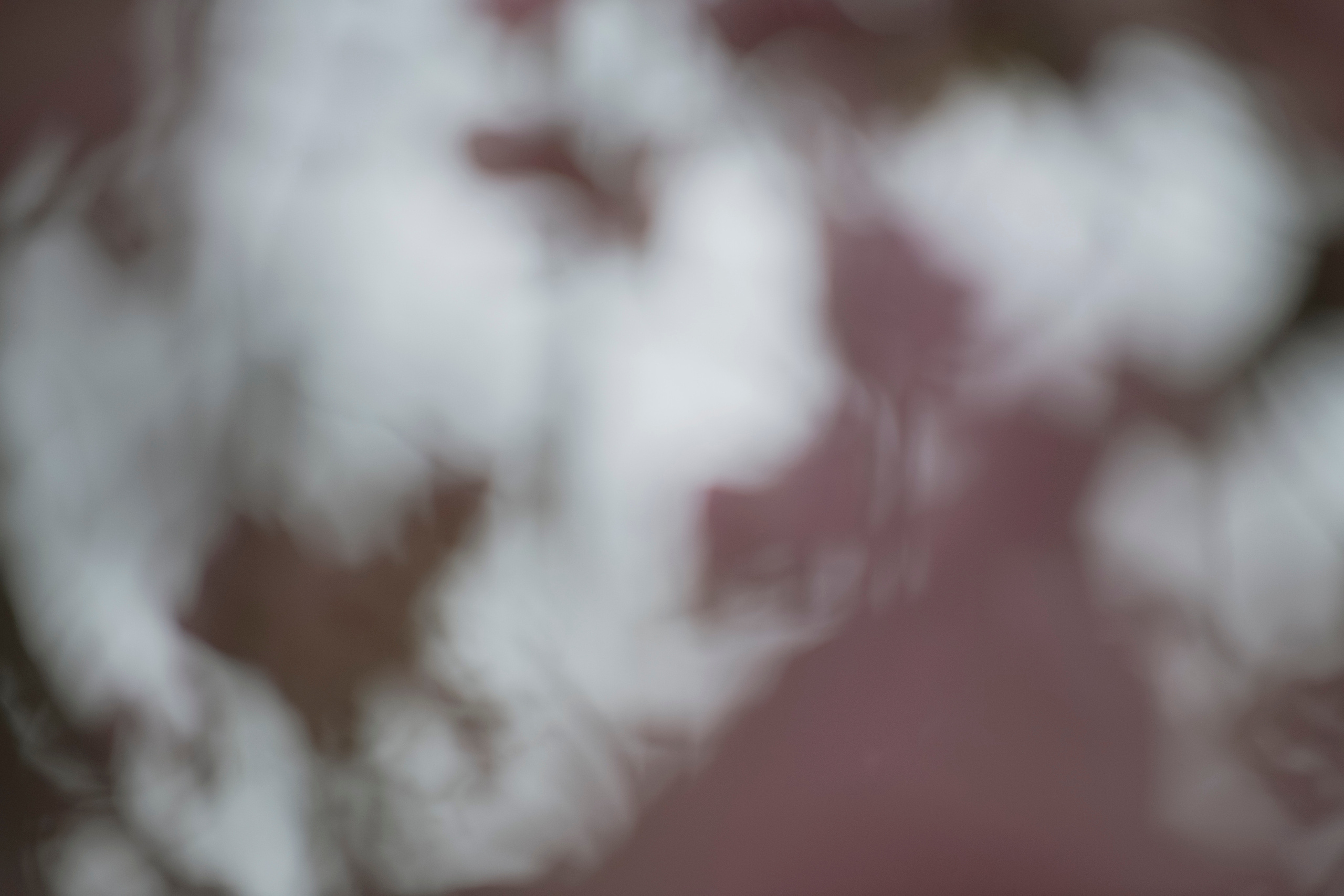 MOTHER (in progress). Anastasiia Antoniuk portrait, family and couple photographer, Portugal