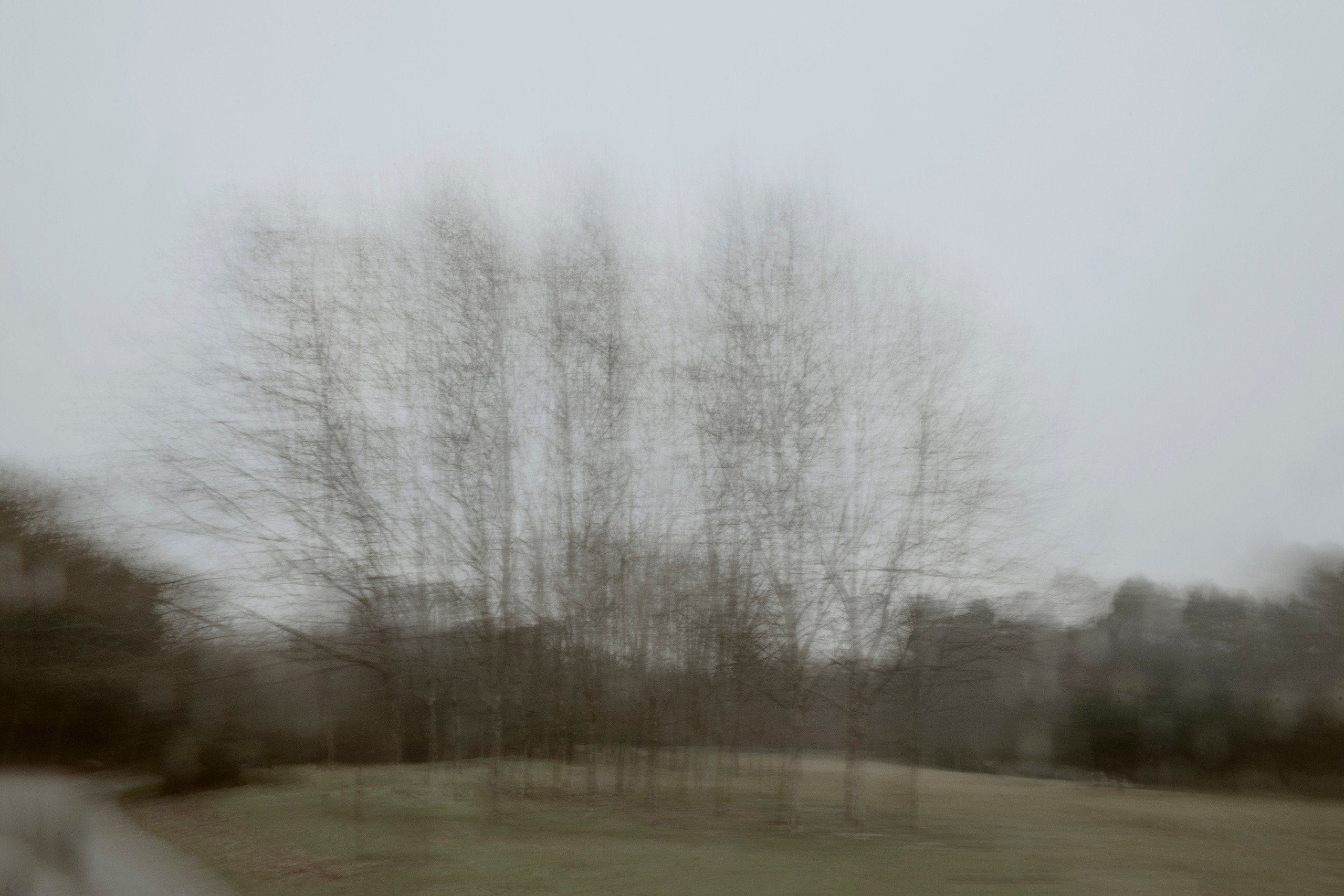 MOTHER (in progress). Anastasiia Antoniuk portrait, family and couple photographer, Portugal