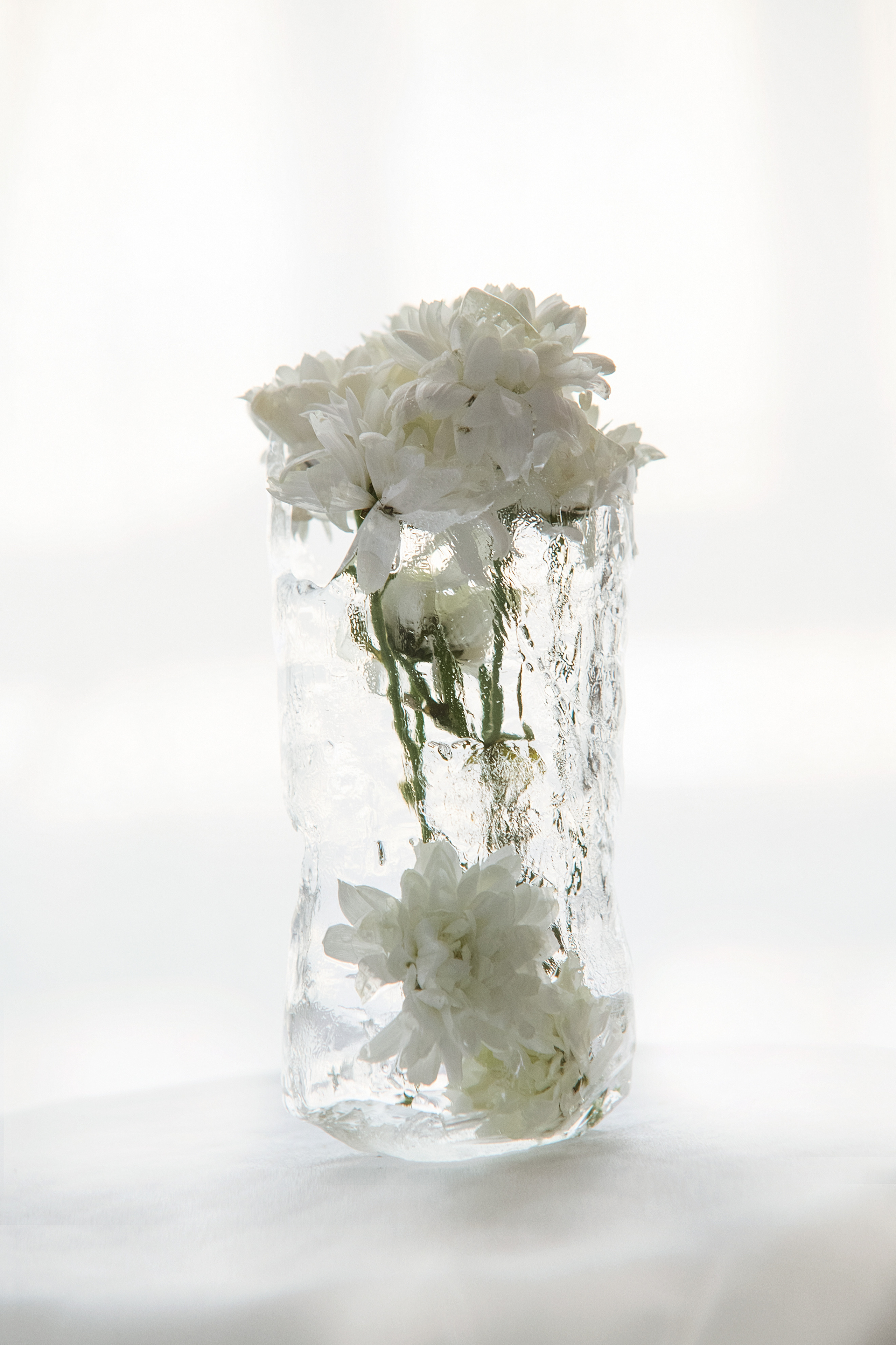 FROZEN NATURE. Anastasiia Antoniuk portrait, family and couple photographer, Portugal