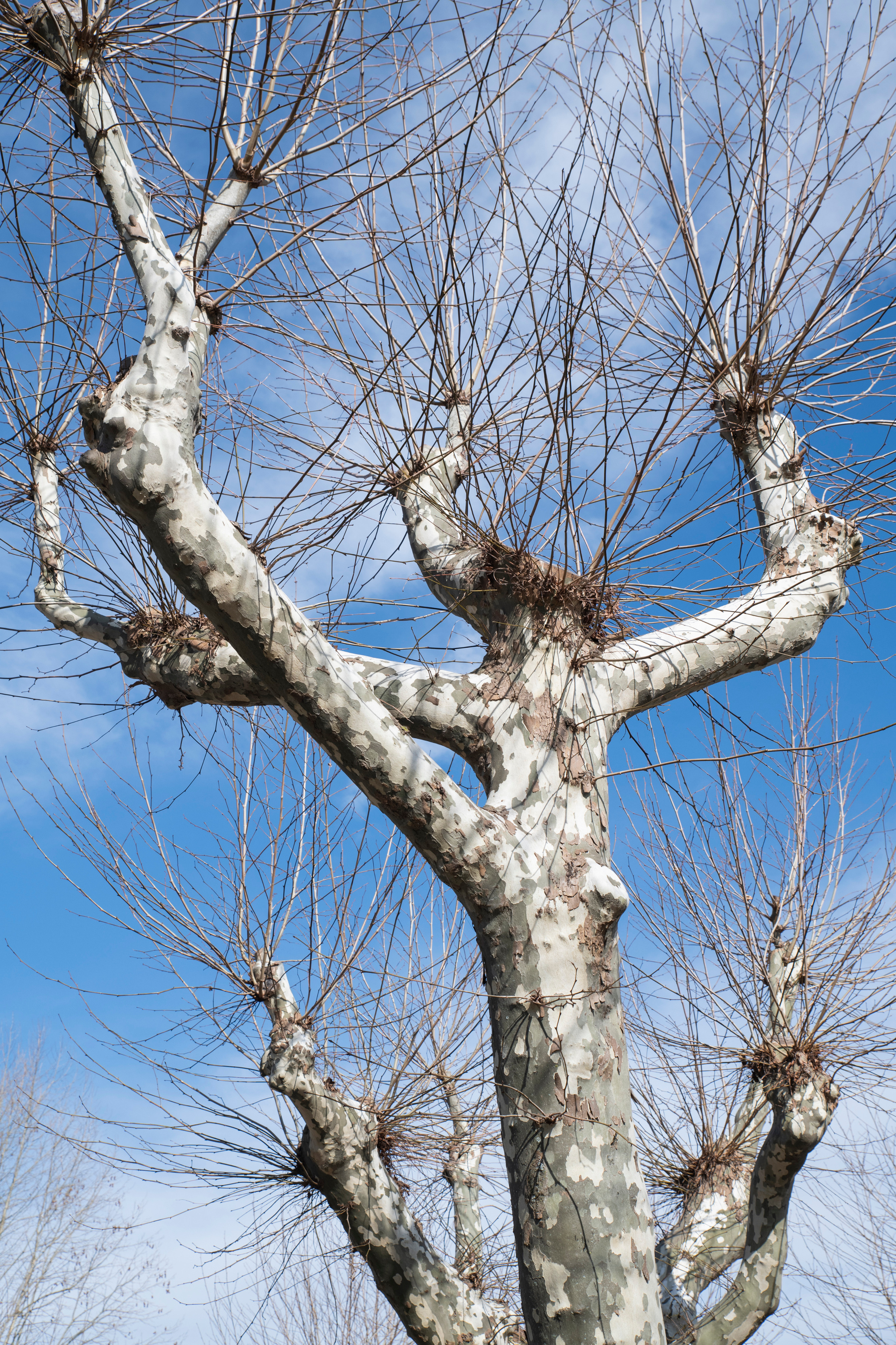 MOTHER (in progress). Anastasiia Antoniuk portrait, family and couple photographer, Portugal