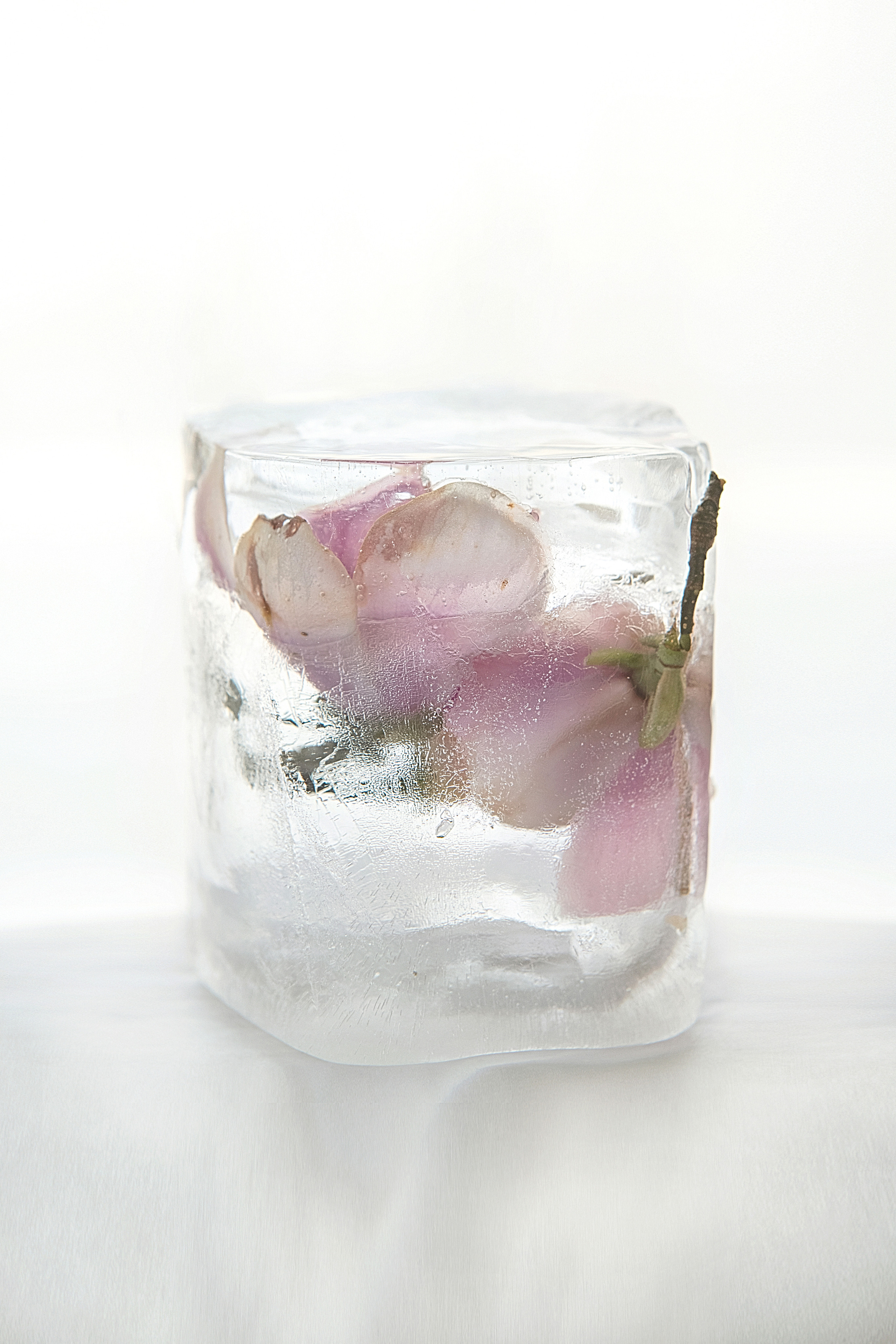 FROZEN NATURE. Anastasiia Antoniuk portrait, family and couple photographer, Portugal