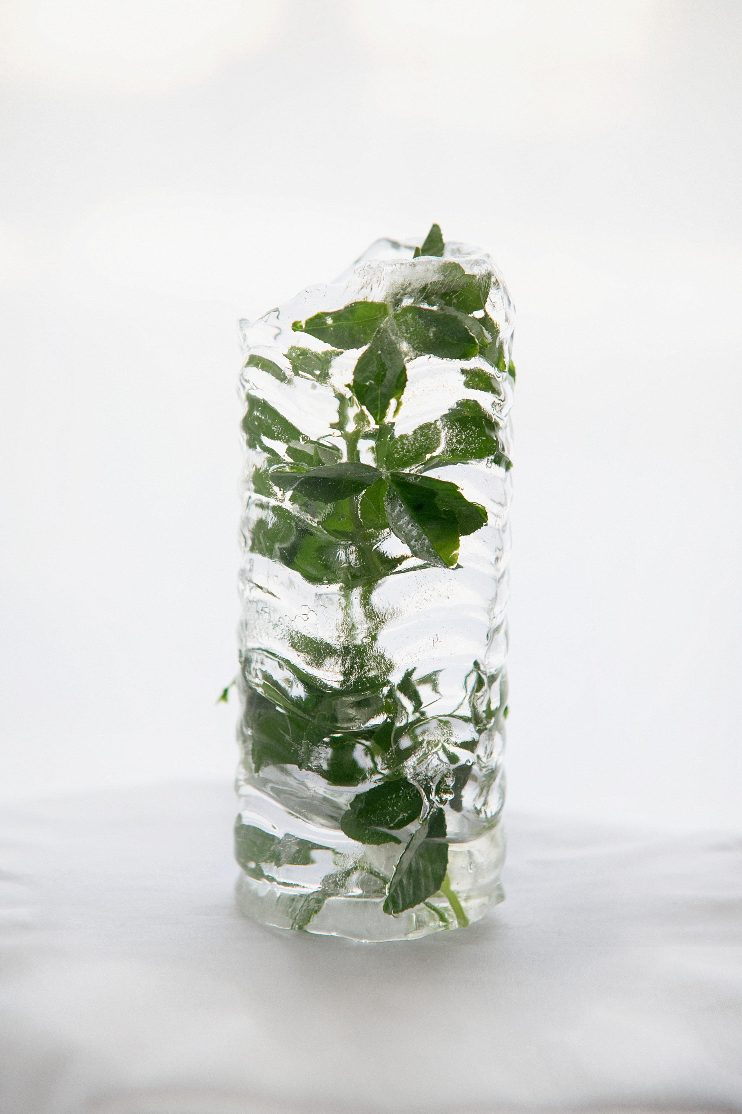 FROZEN NATURE. Anastasiia Antoniuk portrait, family and couple photographer, Portugal