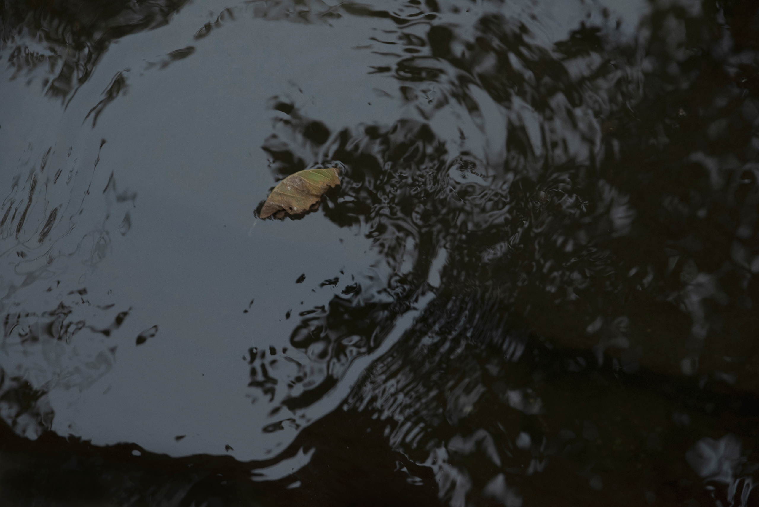 MOTHER (in progress). Anastasiia Antoniuk portrait, family and couple photographer, Portugal