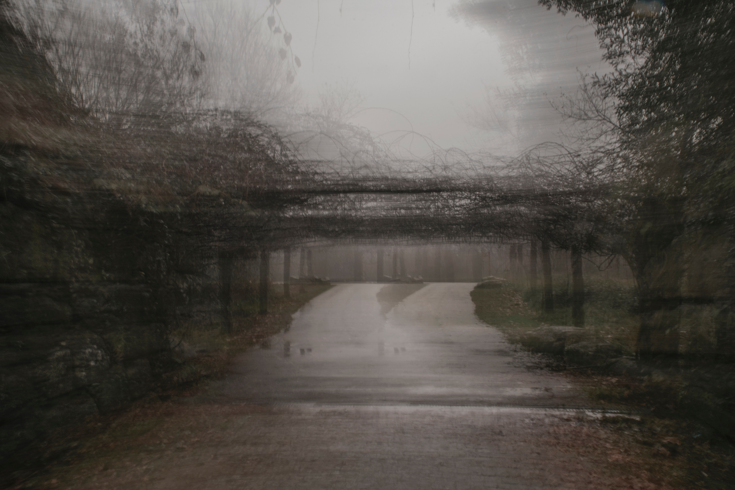 MOTHER (in progress). Anastasiia Antoniuk portrait, family and couple photographer, Portugal