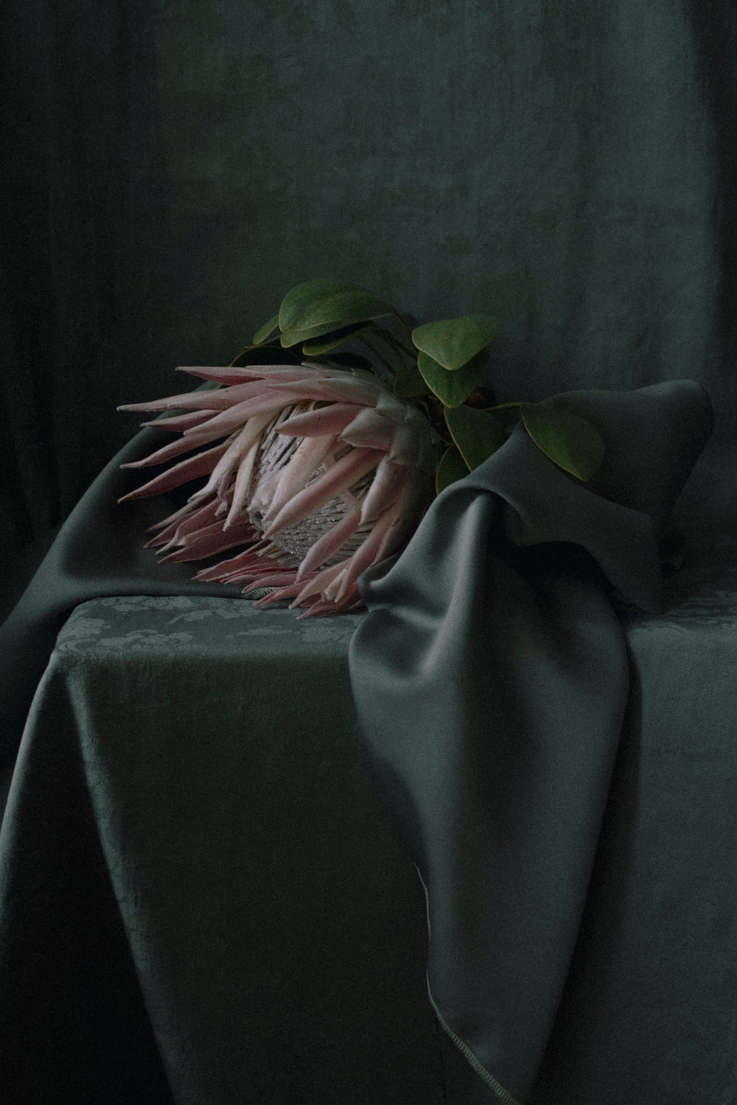 FLOWERS. Anastasiia Antoniuk portrait, family and couple photographer, Portugal