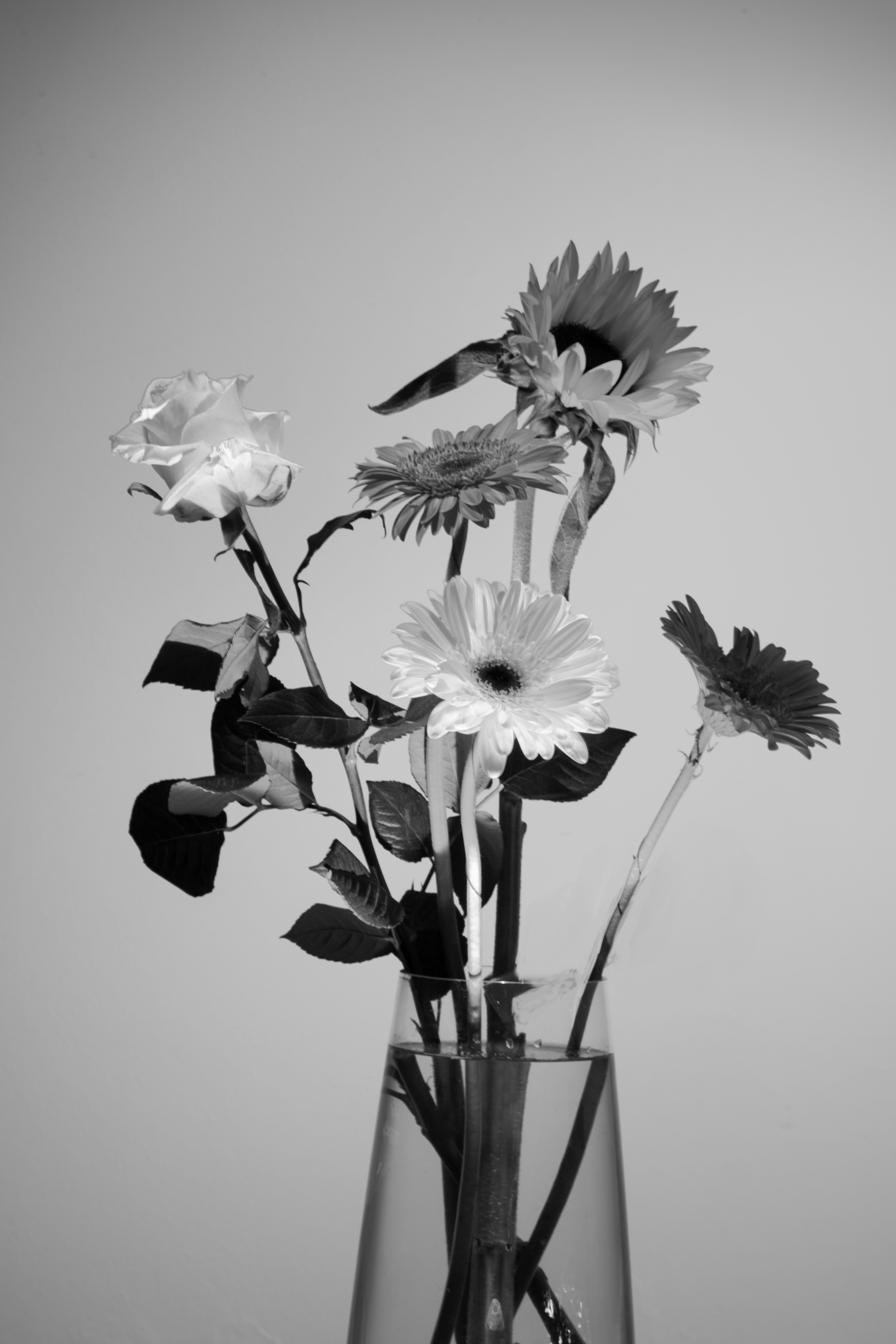 FLOWERS. Anastasiia Antoniuk portrait, family and couple photographer, Portugal