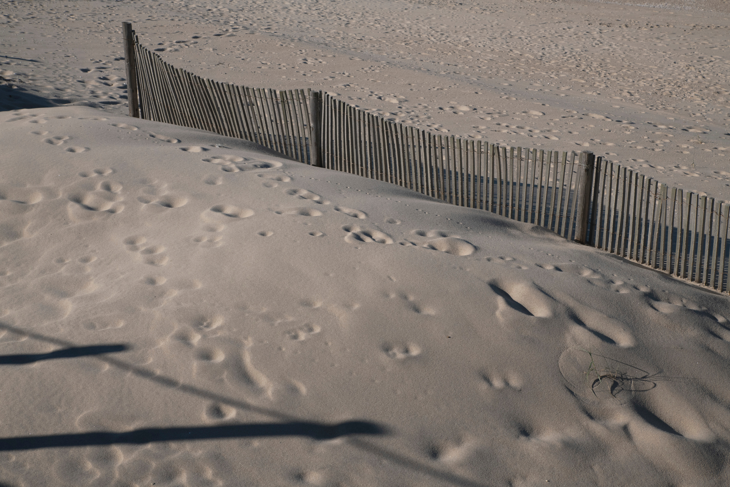 MOTHER (in progress). Anastasiia Antoniuk portrait, family and couple photographer, Portugal