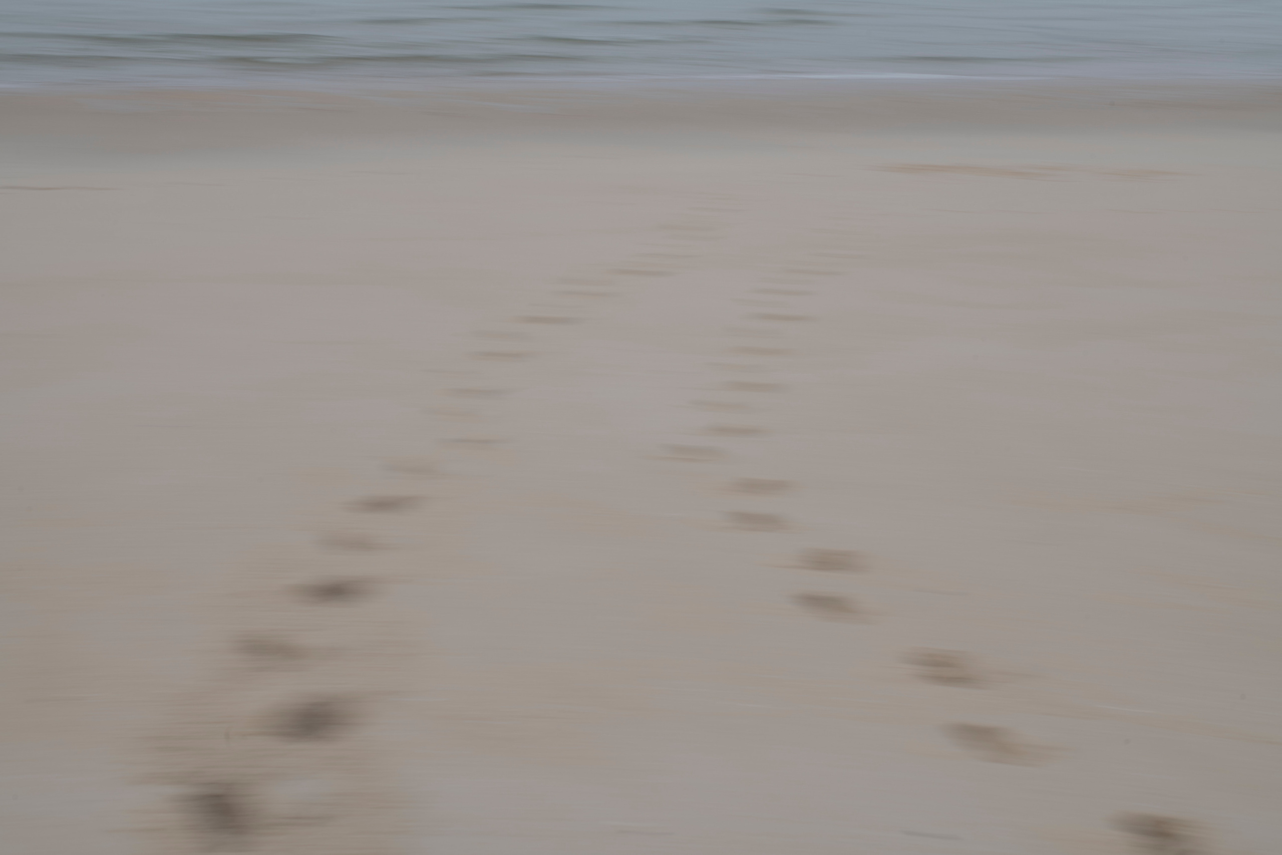 MOTHER (in progress). Anastasiia Antoniuk portrait, family and couple photographer, Portugal