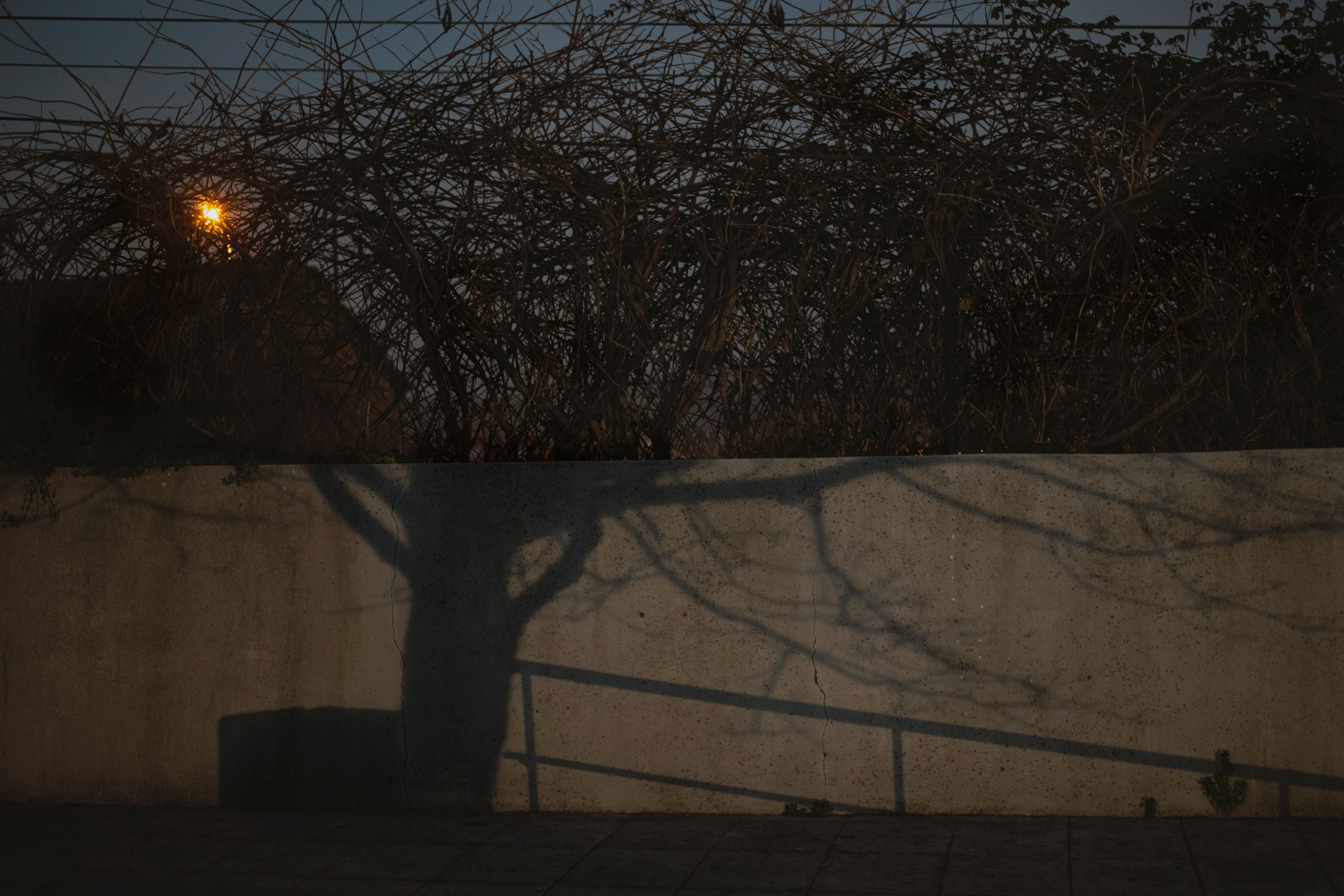 MOTHER (in progress). Anastasiia Antoniuk portrait, family and couple photographer, Portugal