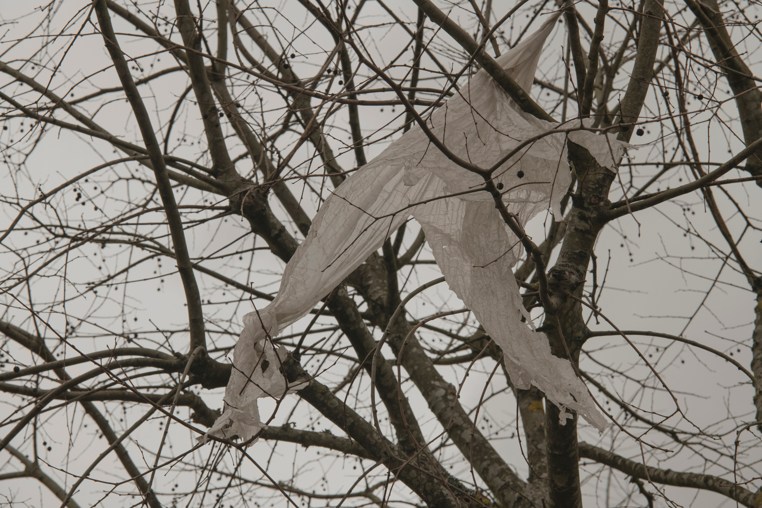 MOTHER (in progress). Anastasiia Antoniuk portrait, family and couple photographer, Portugal