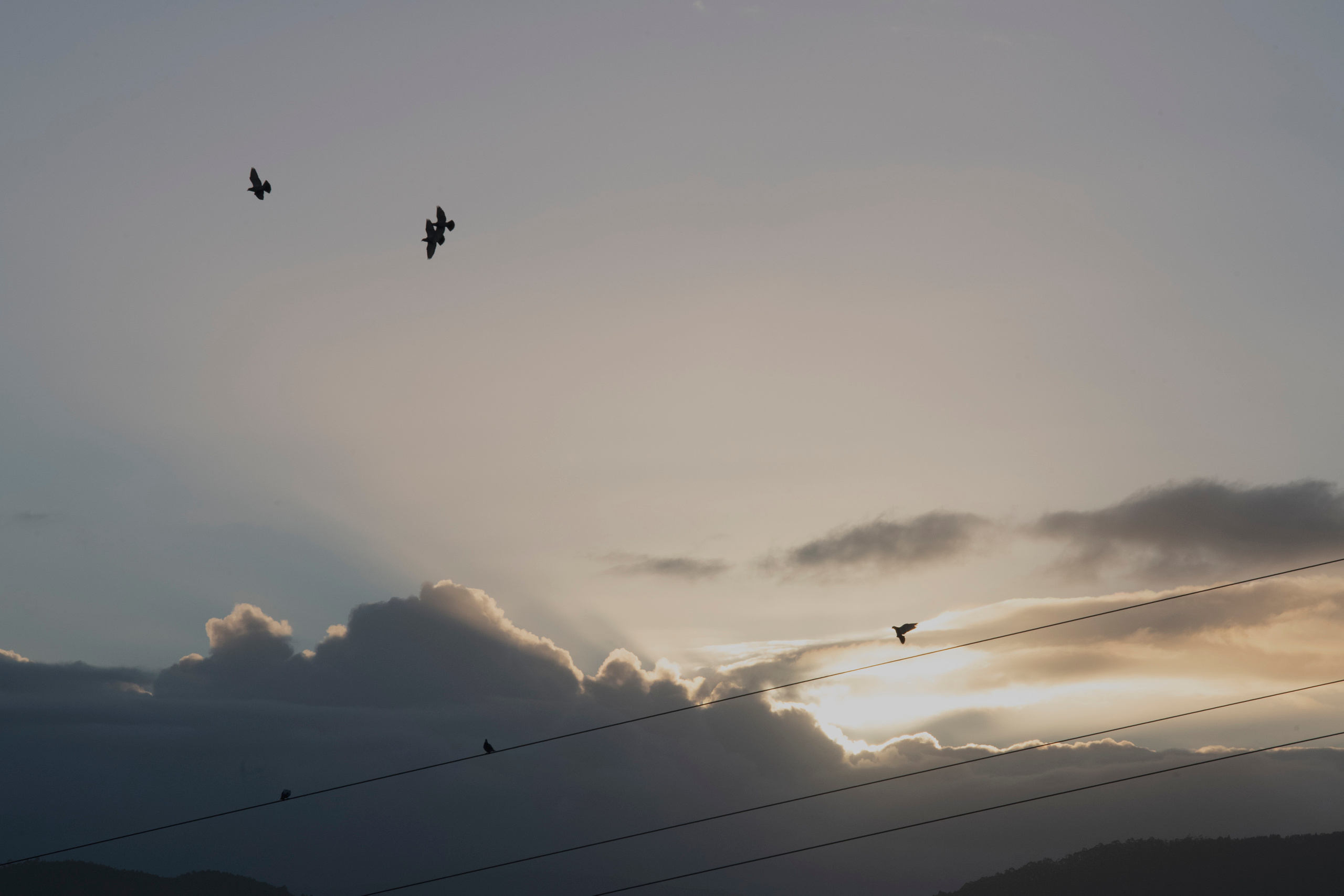 MOTHER (in progress). Anastasiia Antoniuk portrait, family and couple photographer, Portugal