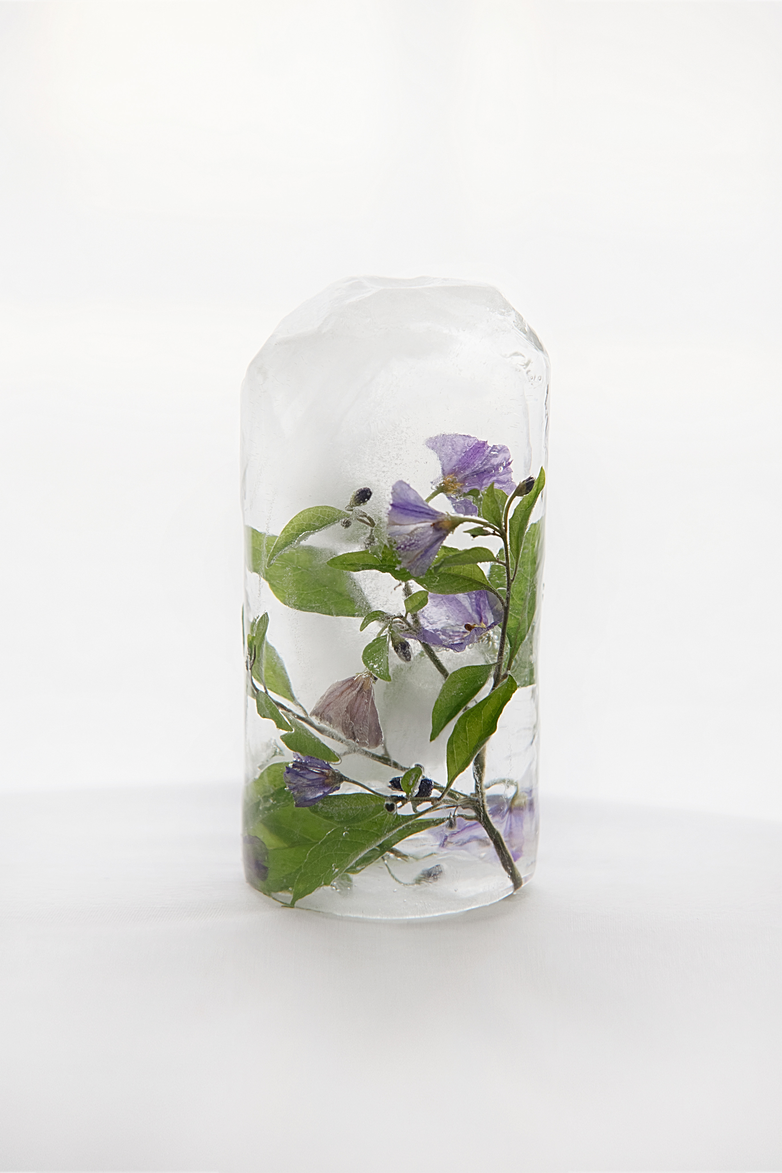 FROZEN NATURE. Anastasiia Antoniuk portrait, family and couple photographer, Portugal