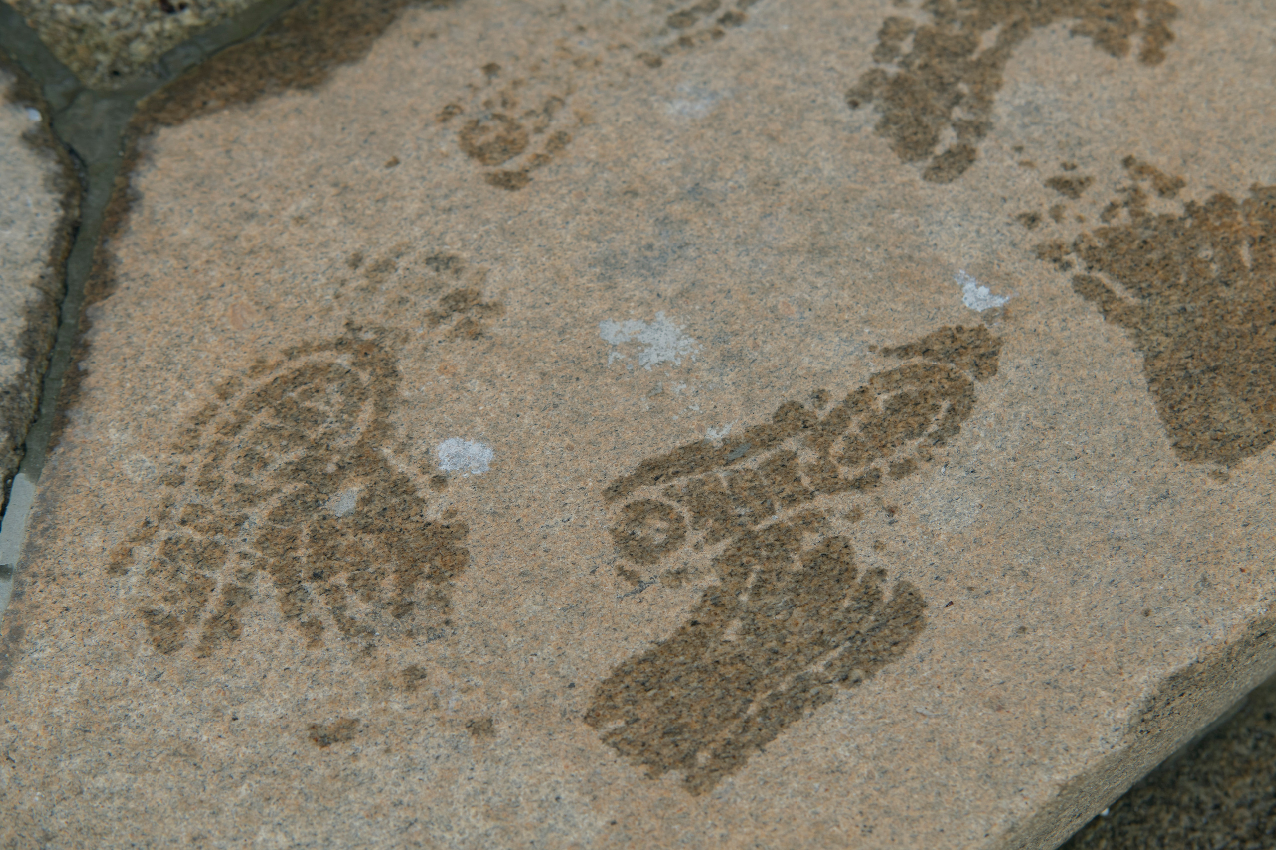 MOTHER (in progress). Anastasiia Antoniuk portrait, family and couple photographer, Portugal