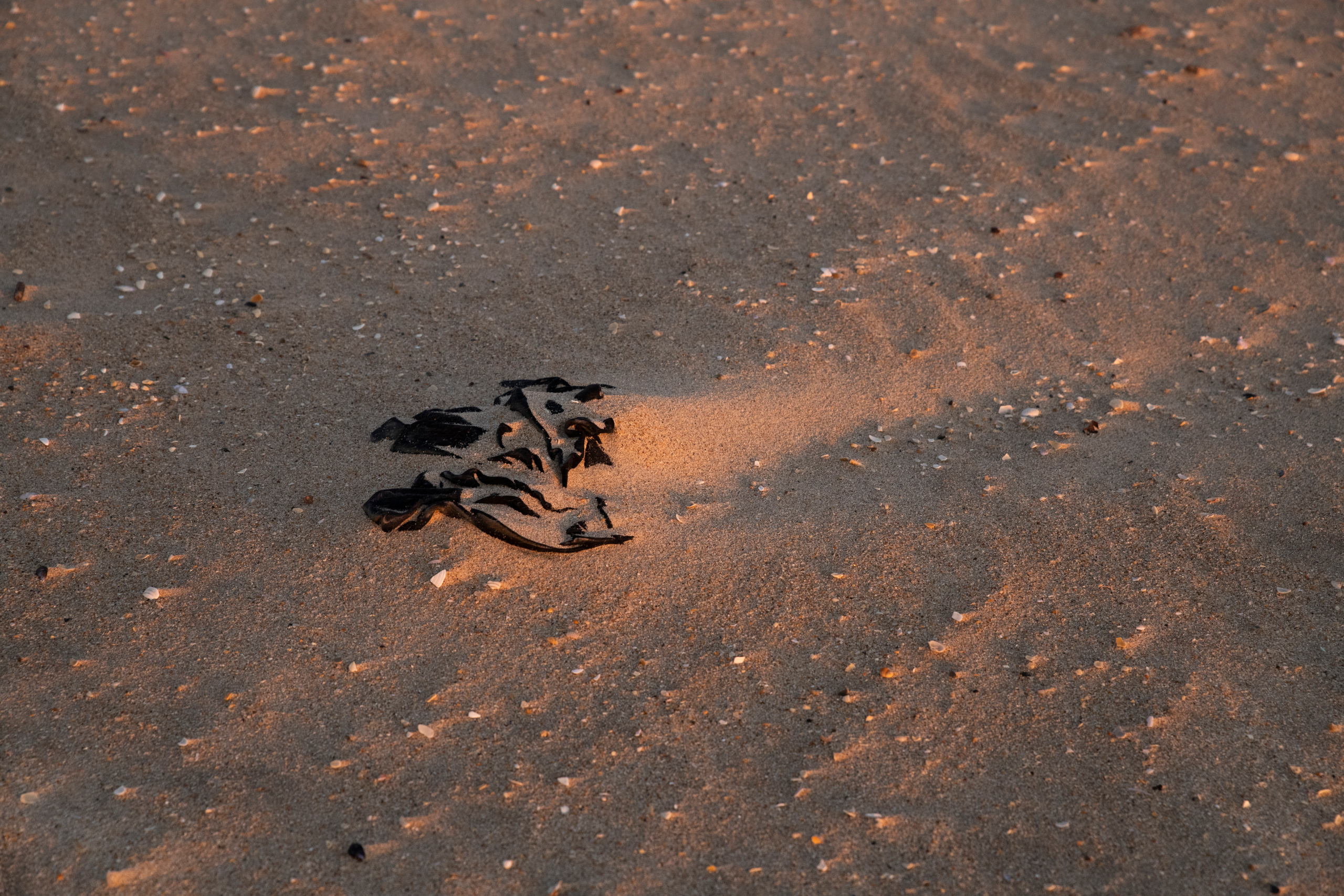 RECONSTRUCTION. Anastasiia Antoniuk portrait, family and couple photographer, Portugal