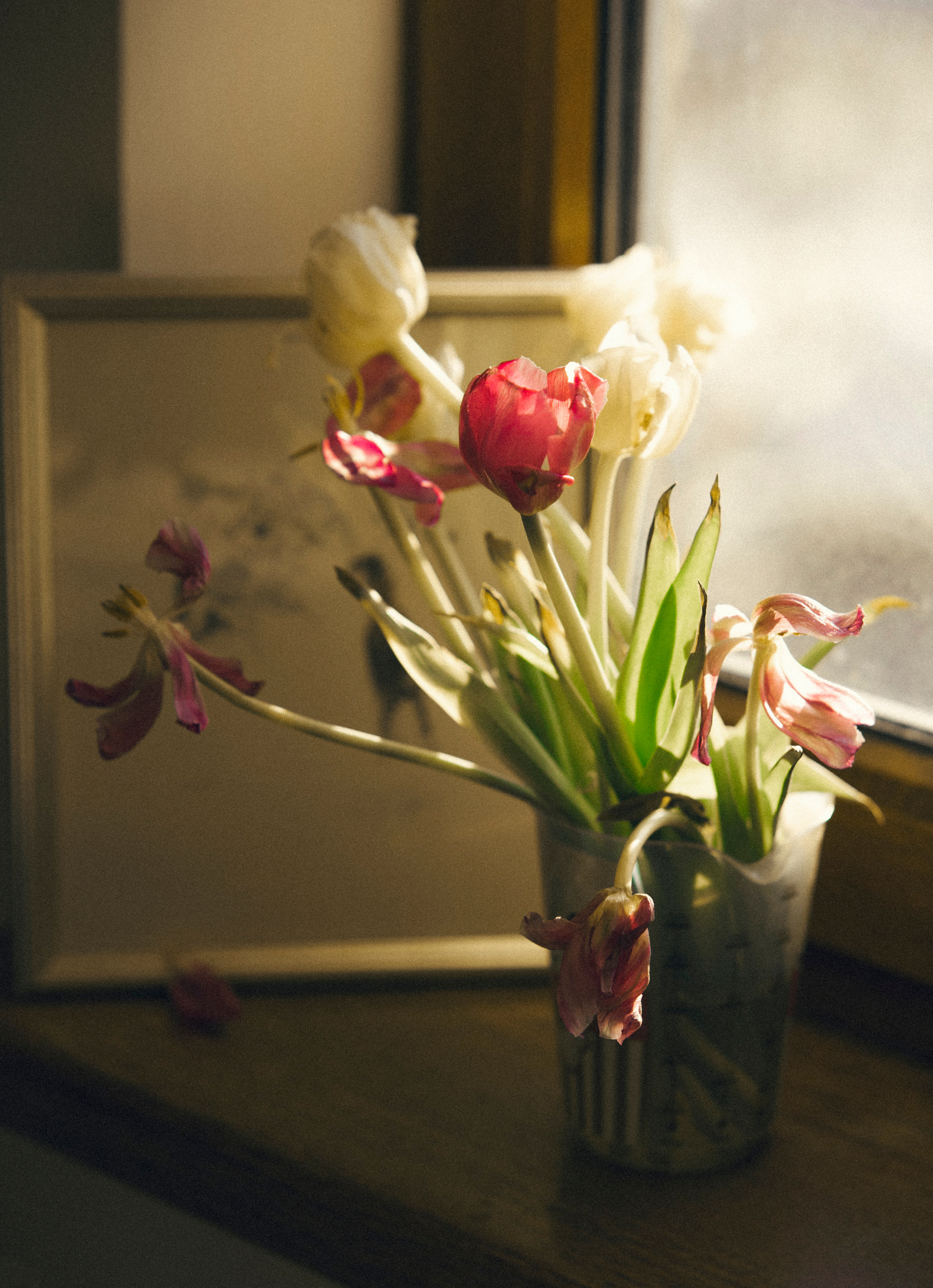 MOTHER (in progress). Anastasiia Antoniuk portrait, family and couple photographer, Portugal