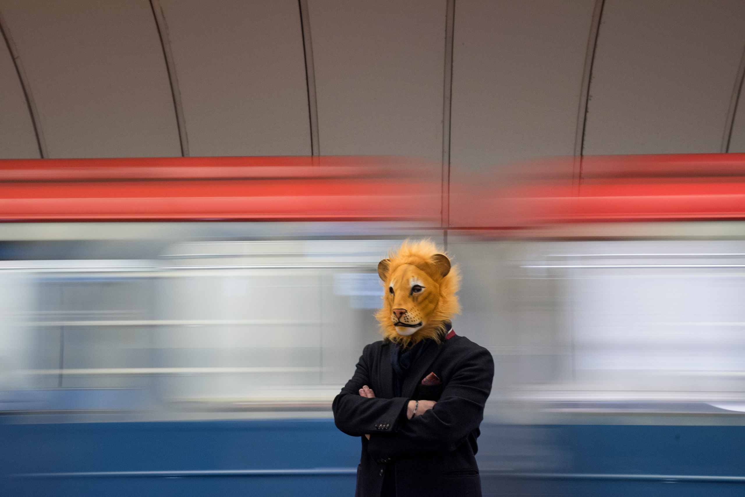 LEO. Anastasiia Antoniuk portrait, family and couple photographer, Portugal