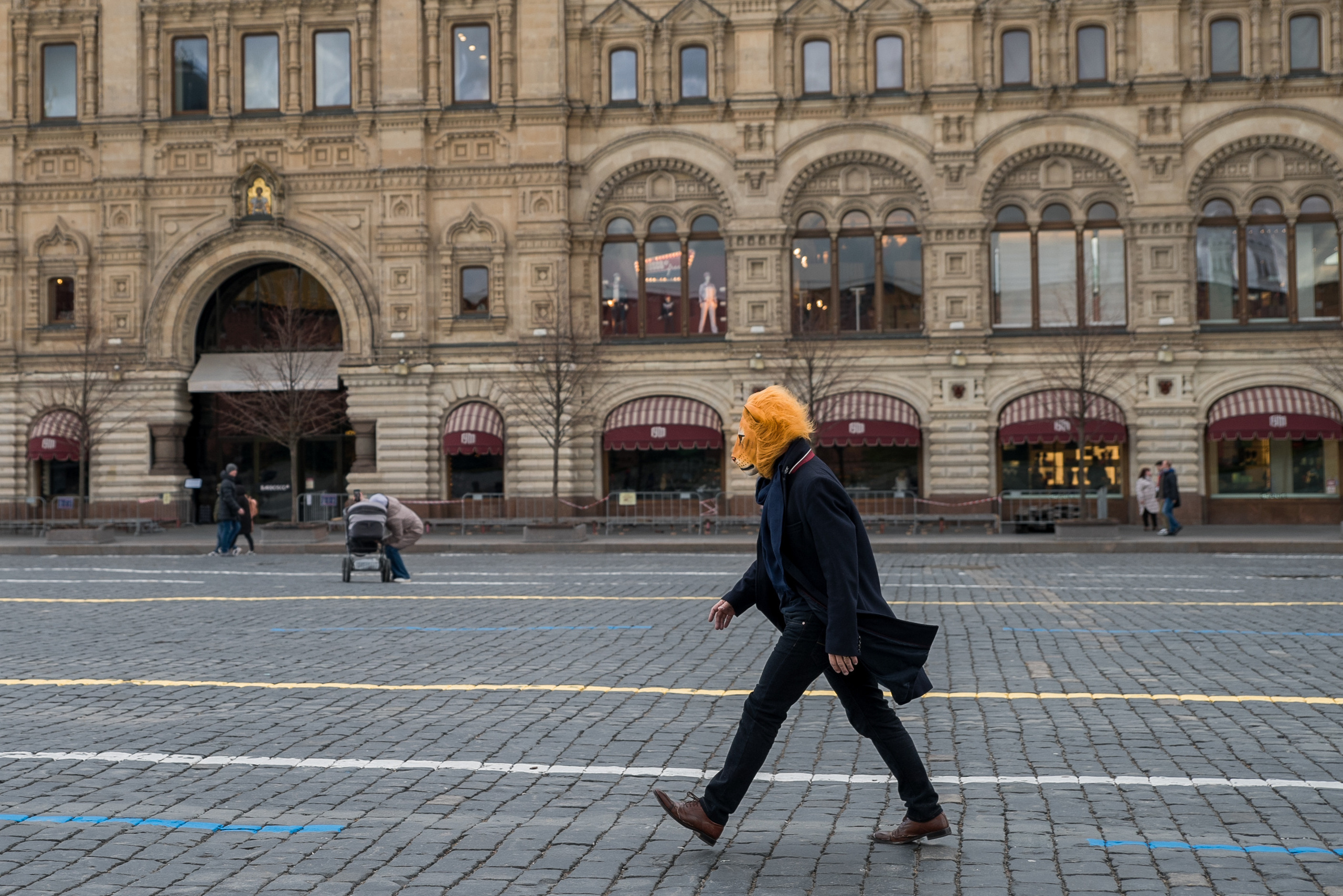LEO. Anastasiia Antoniuk portrait, family and couple photographer, Portugal