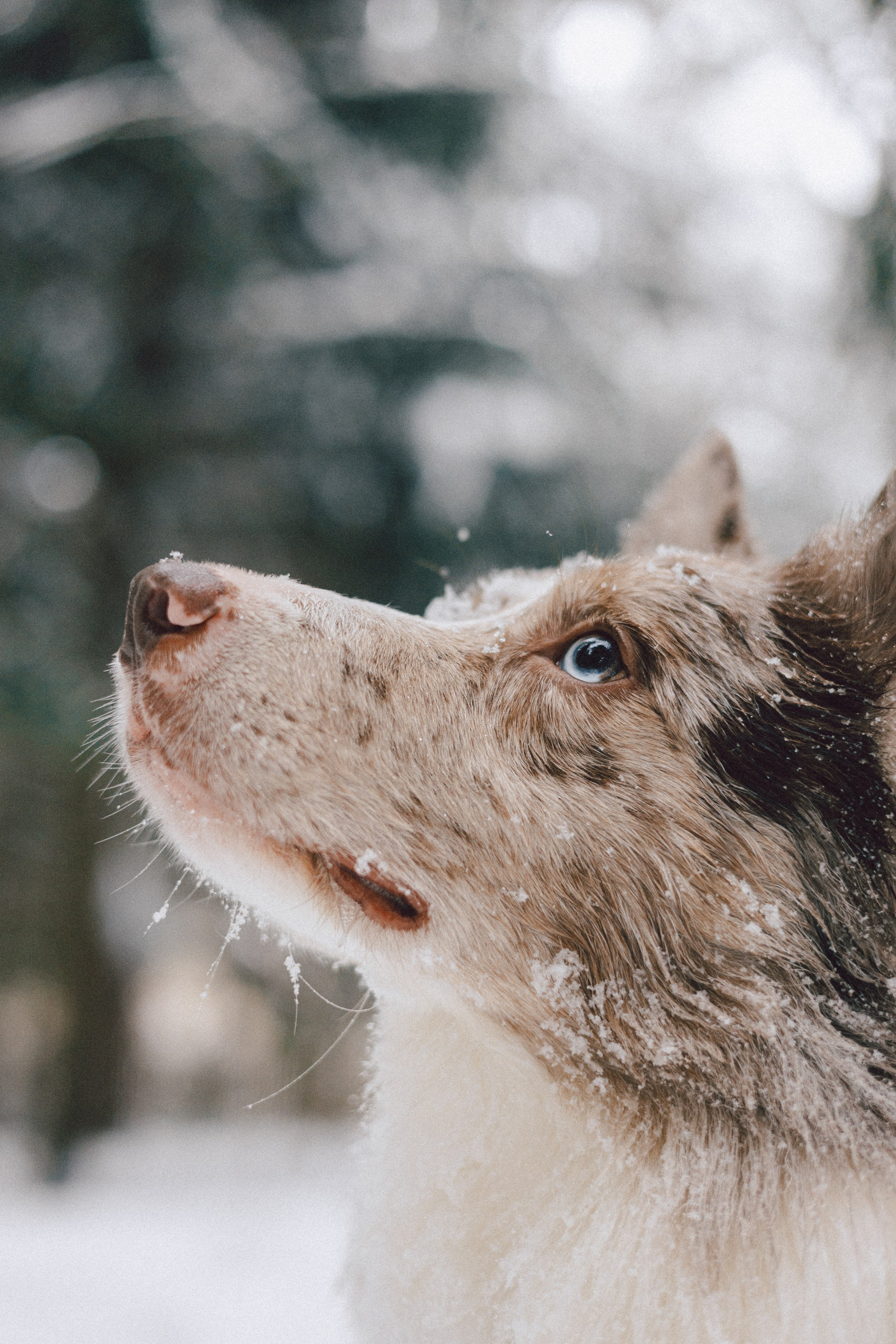 Настя и Ваня. Фотограф Анна Луценко Москва