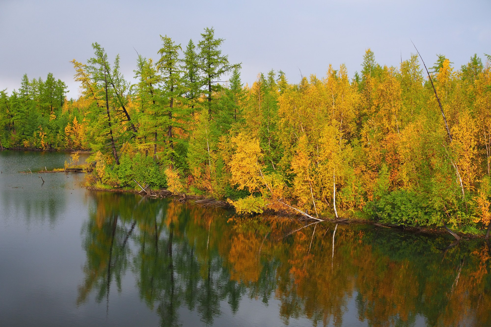 Природа.Осень. Талнах.рф