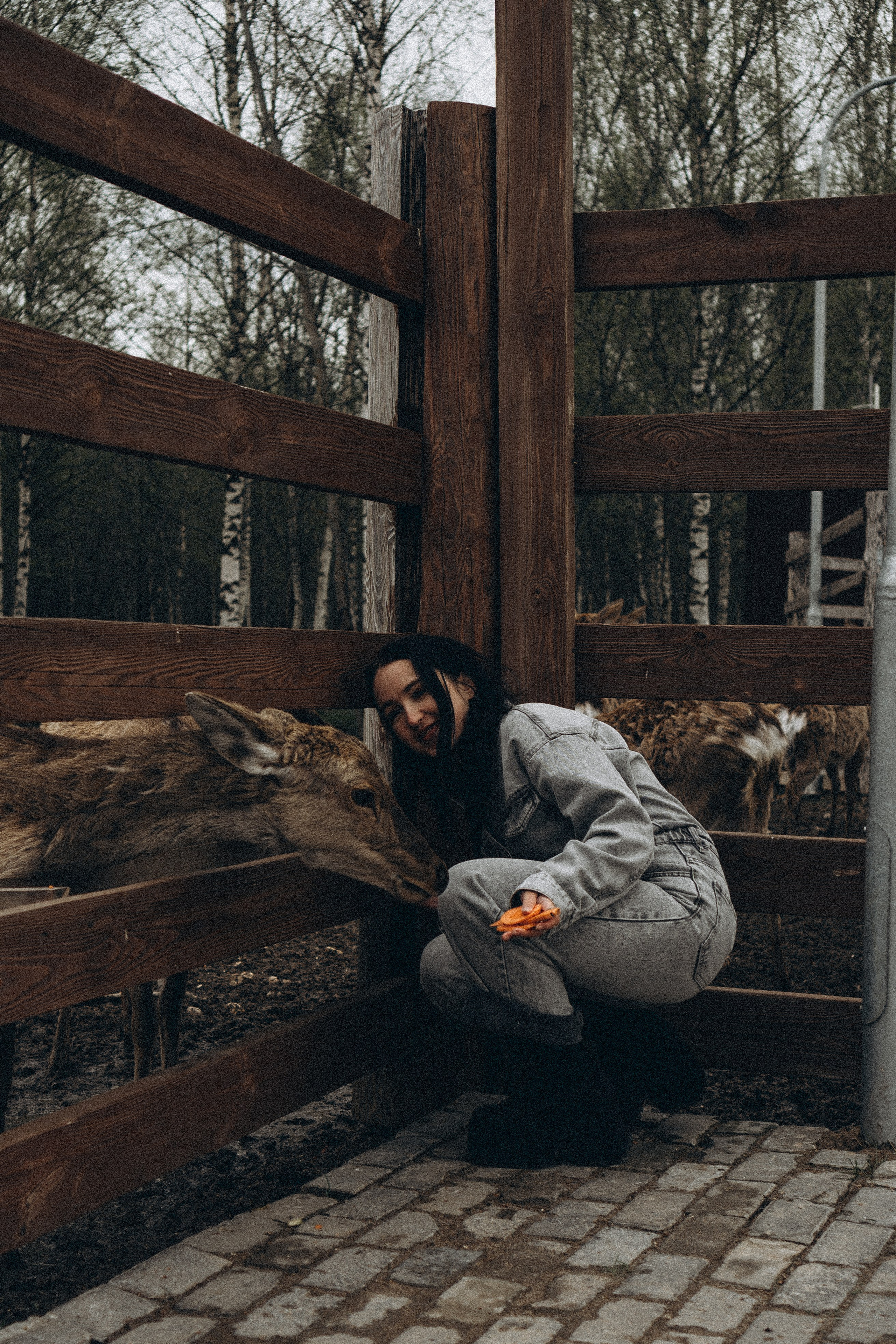 ОЛЕНЬЯ ФЕРМА В ТВЕРИ. Профессиональный фотограф, Санкт-Петербург — Виктория Богомолова