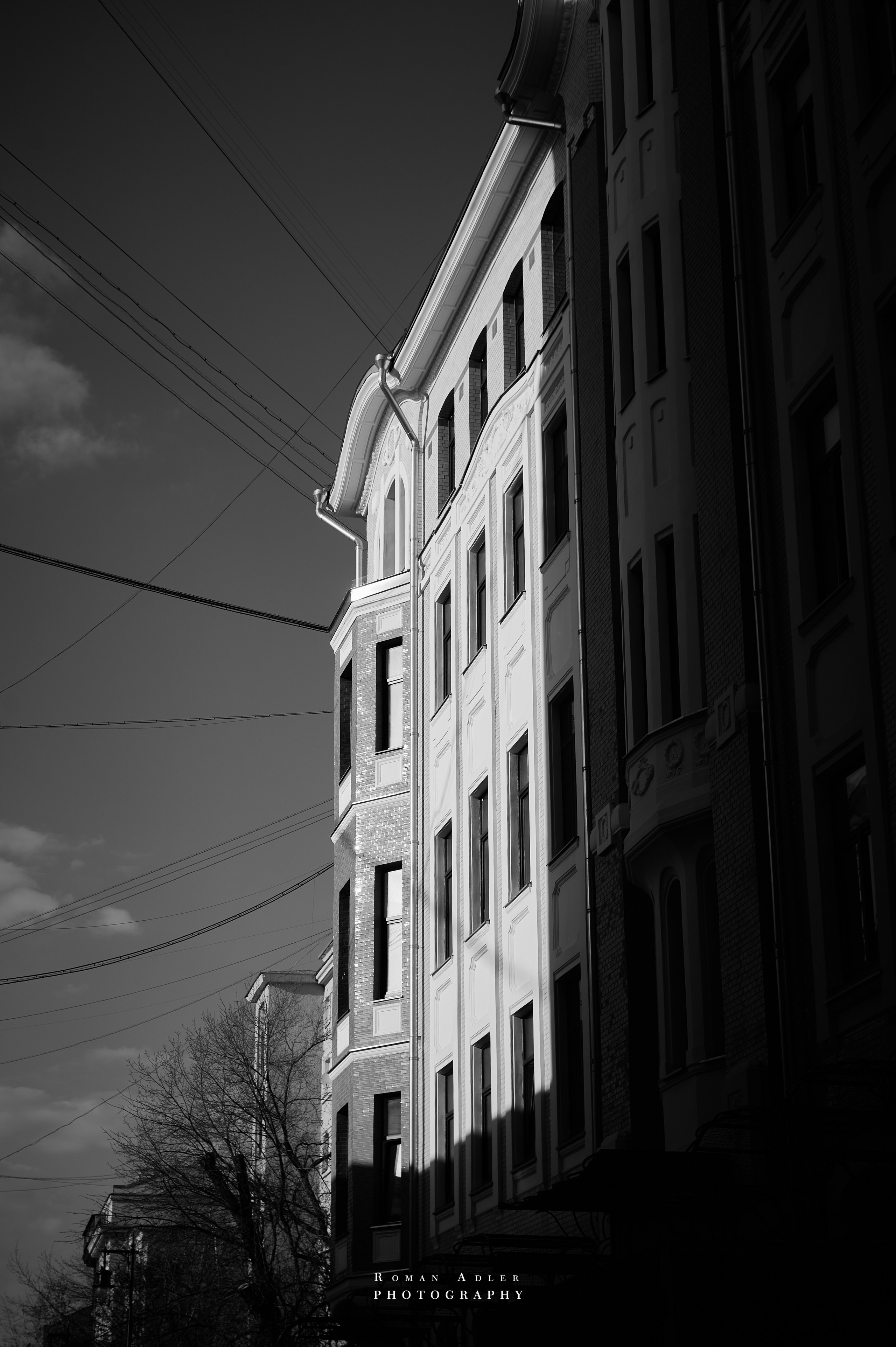 Carpe Diem 2026. Весна. Фотограф Роман Адлер