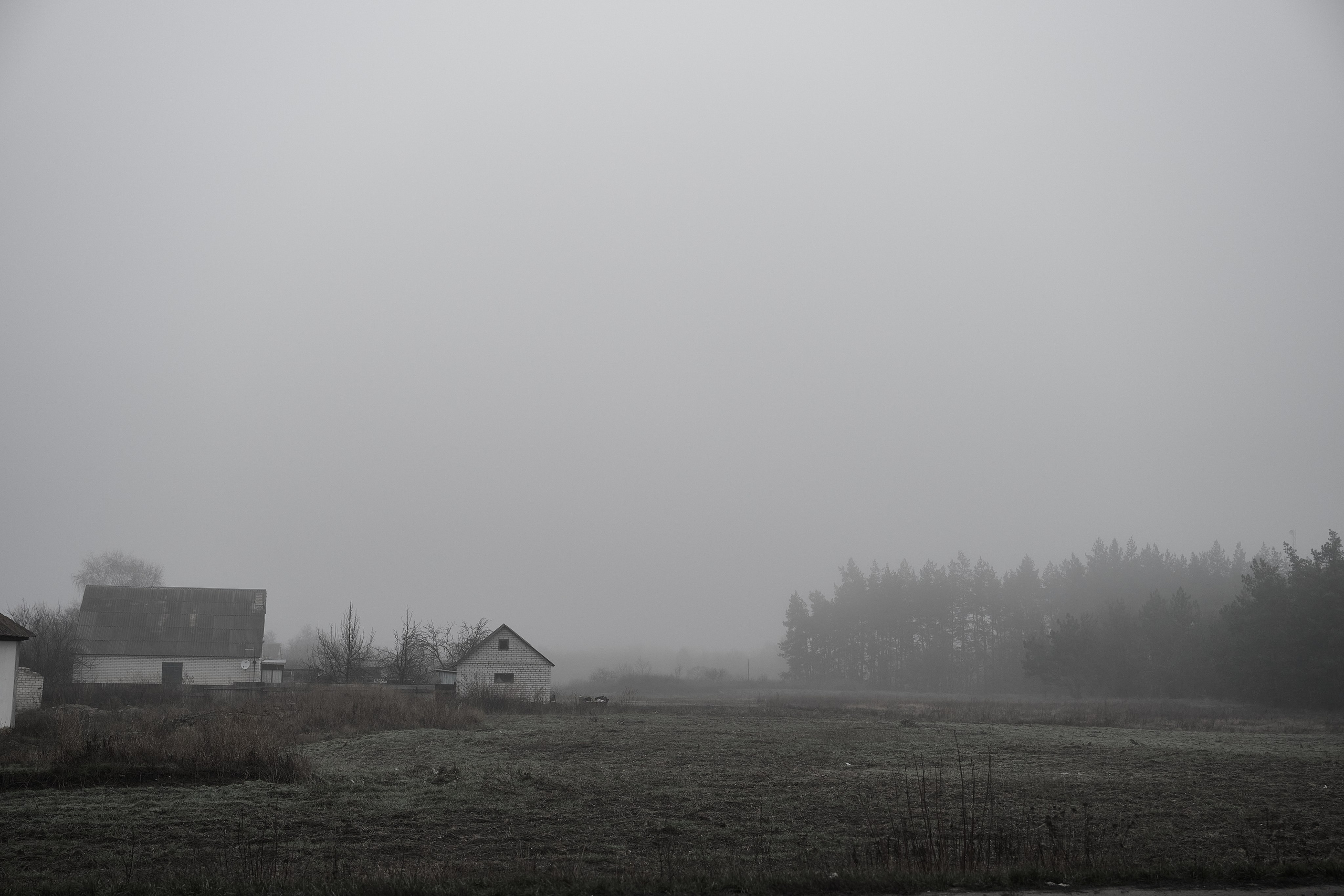 Дорога домой. Туман. Фотограф Роман Адлер