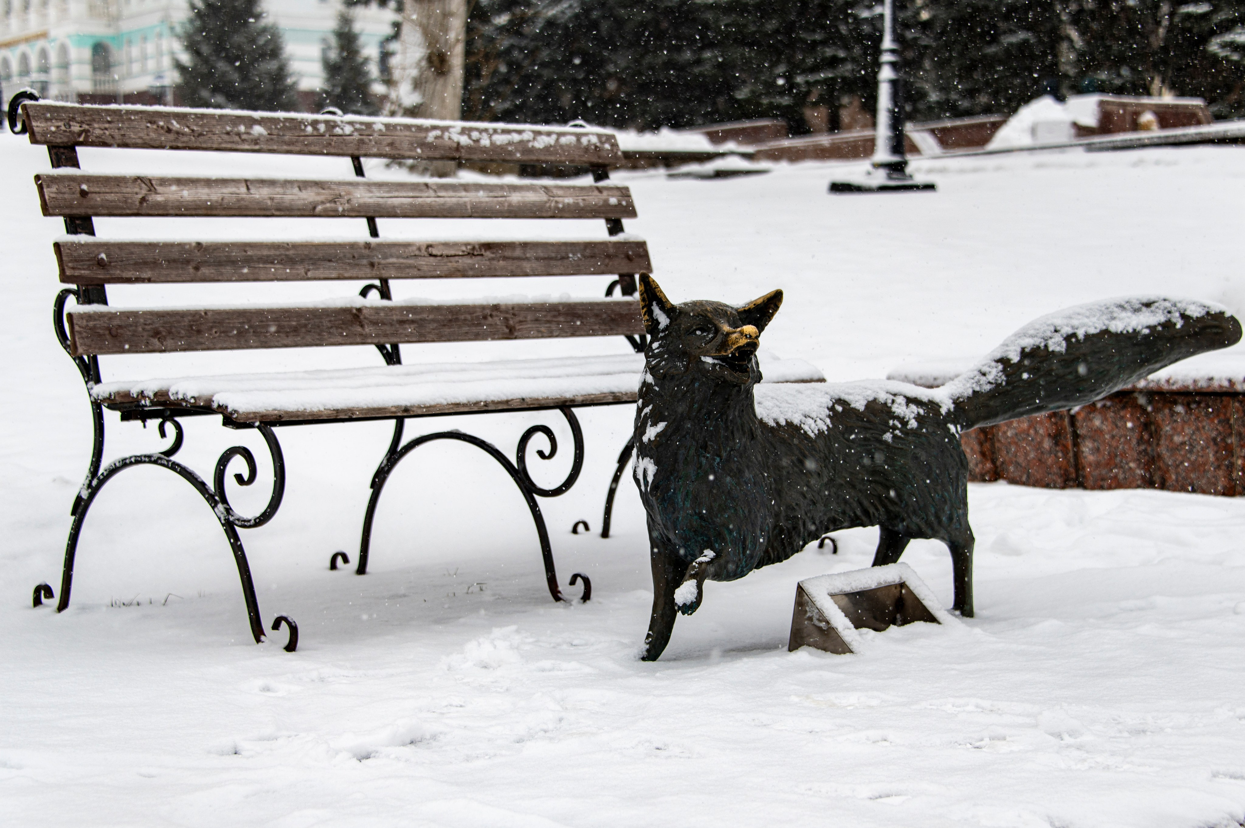 Саранск. Январь 2024. Фотограф Роман Адлер
