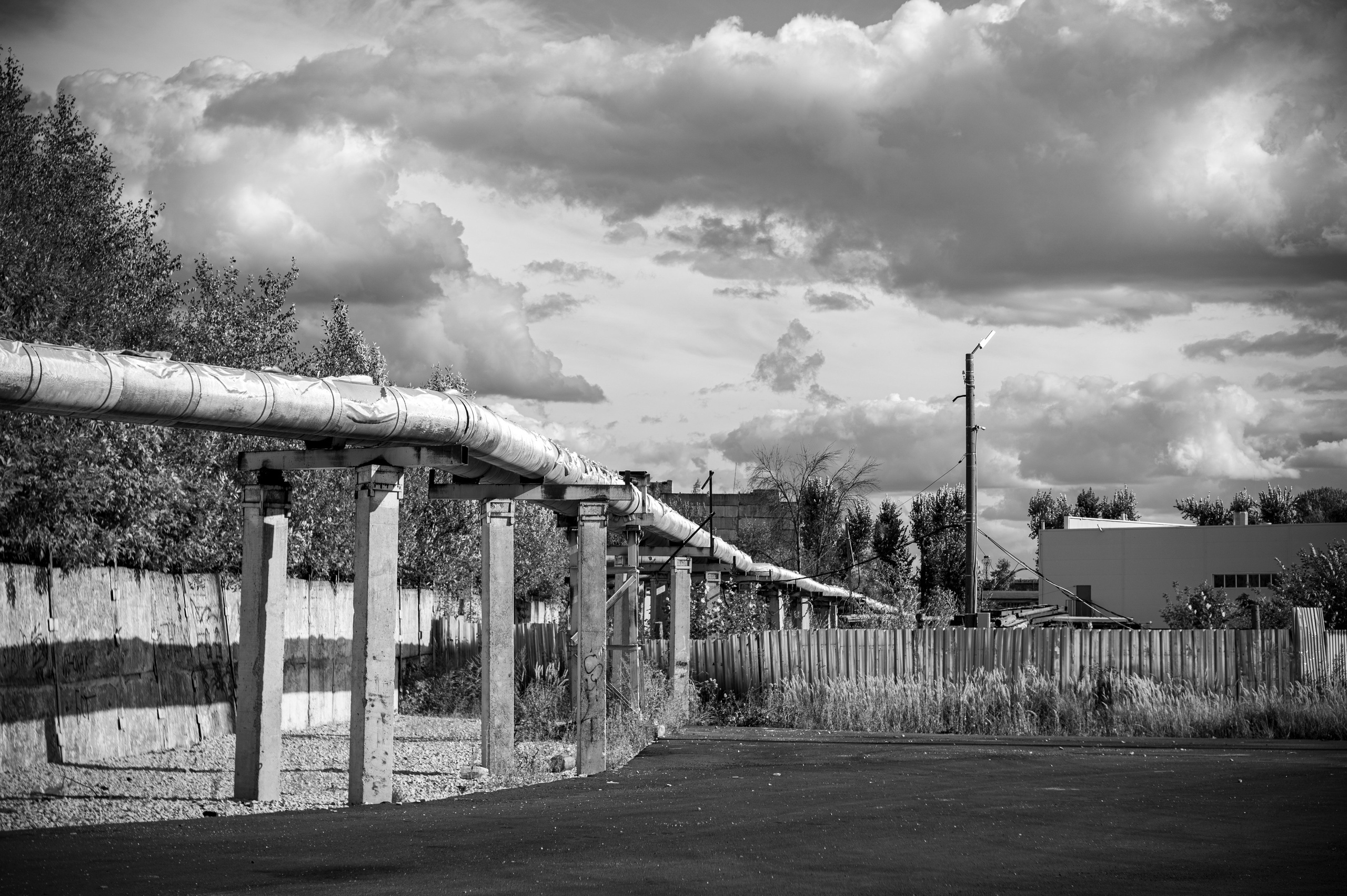 Муром. Сентябрь 2022. Фотограф Роман Адлер