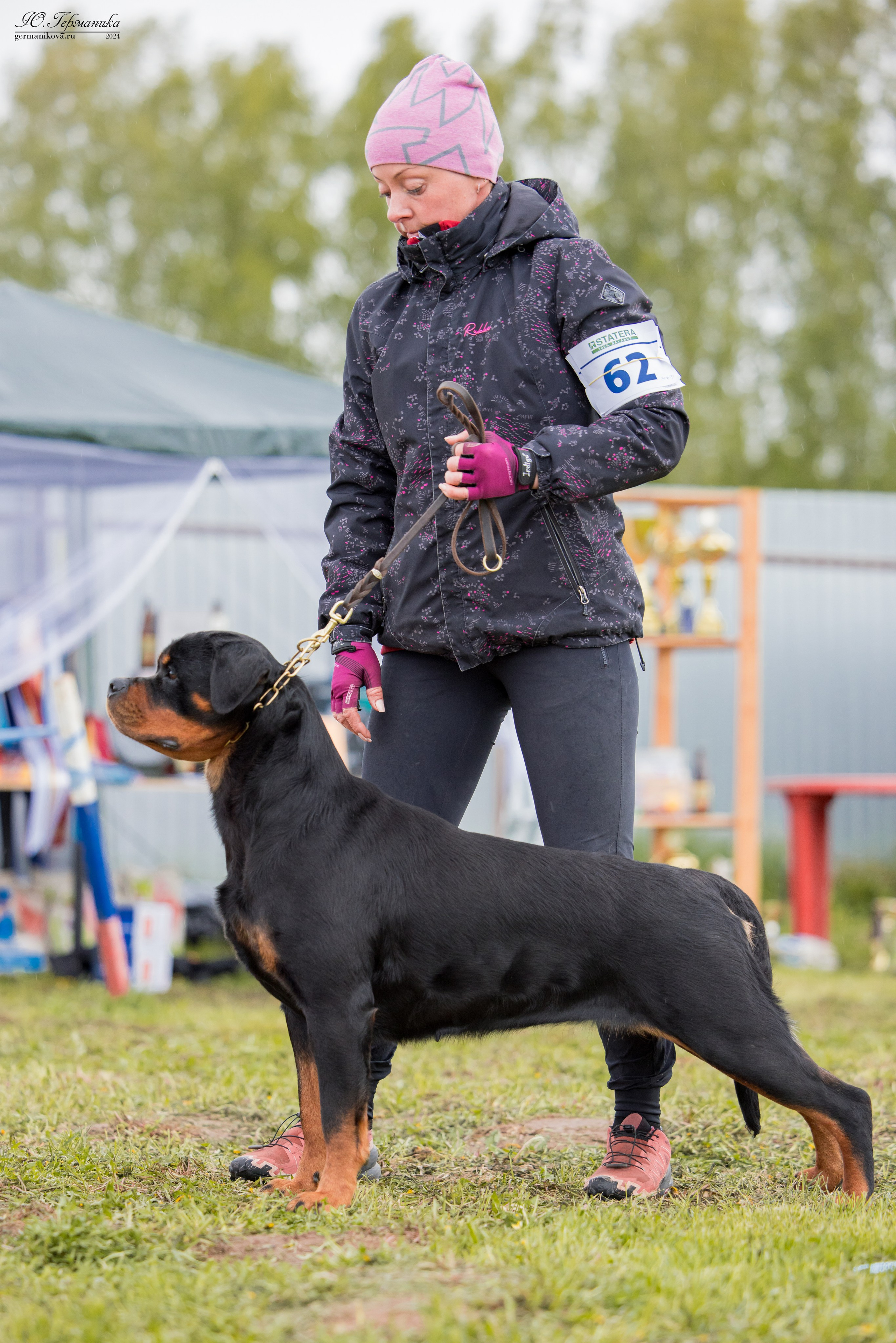 Нижний Новгород 11-12.05.2024 моно ротвейлеров. Фотограф-анималист Юлия Германика