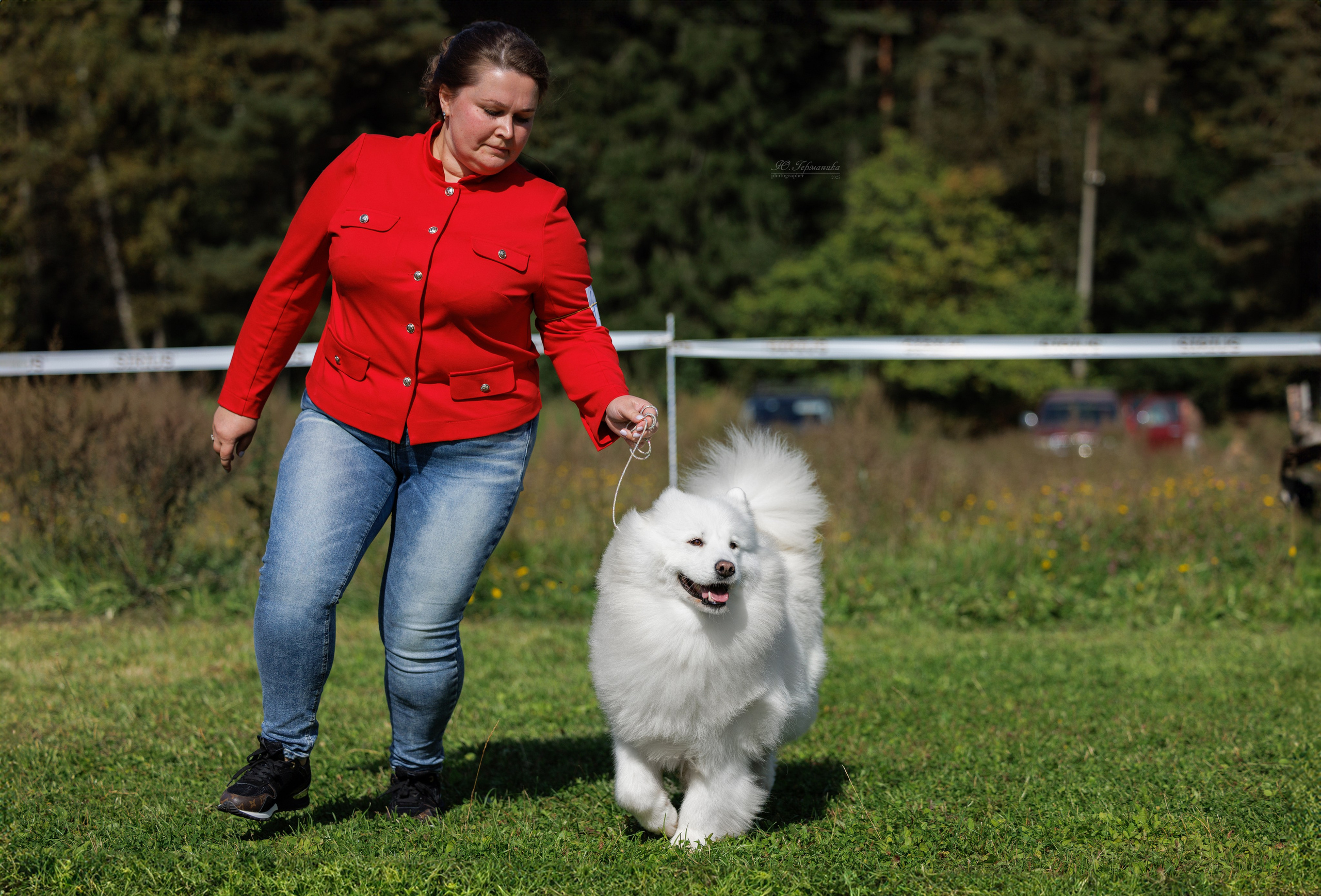 Зеленоград 13.09.2025. Фотограф-анималист Юлия Германика