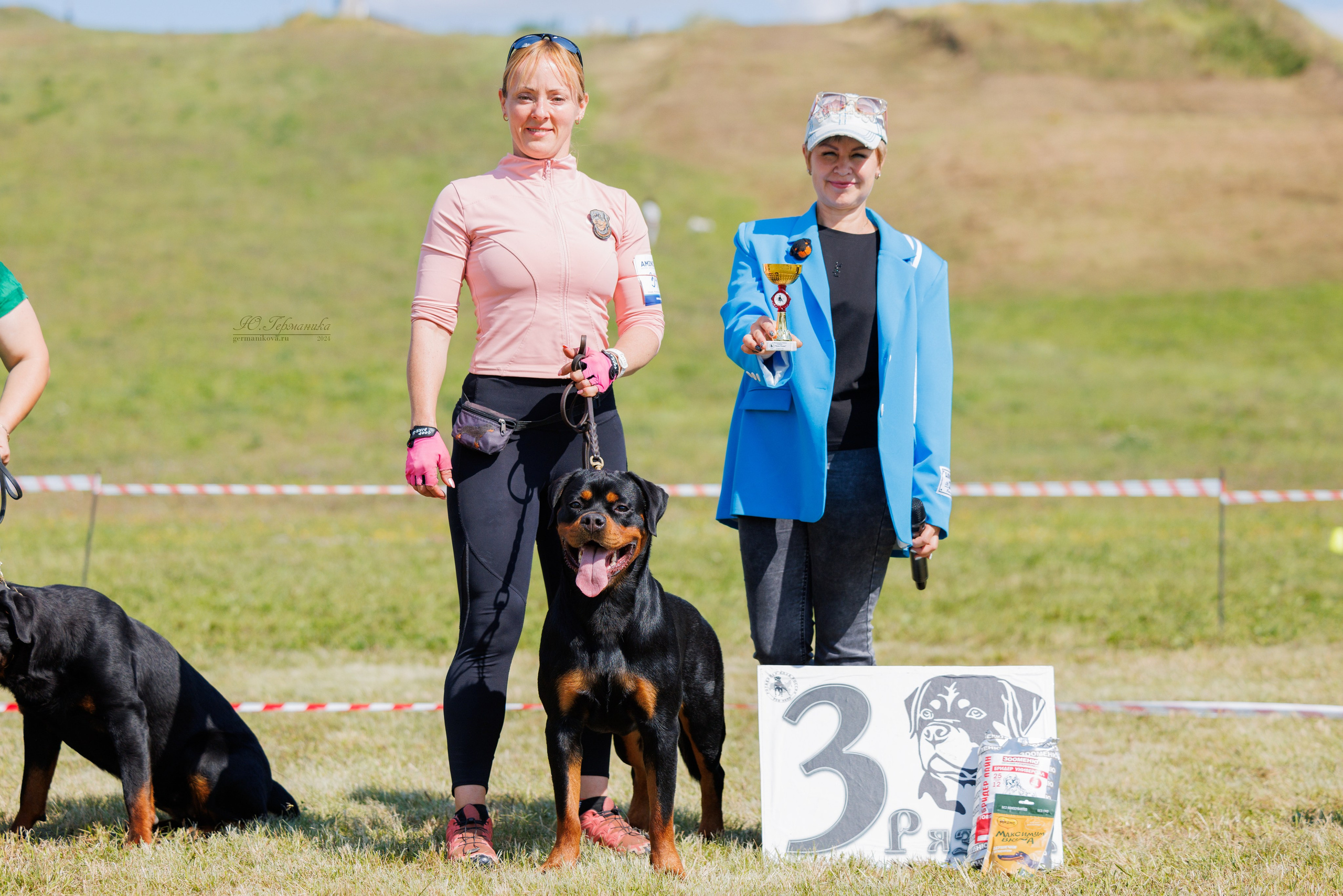 Рязань-Ховрино 10-11.08.2024 3хмоно ротвейлеров. Фотограф-анималист Юлия Германика