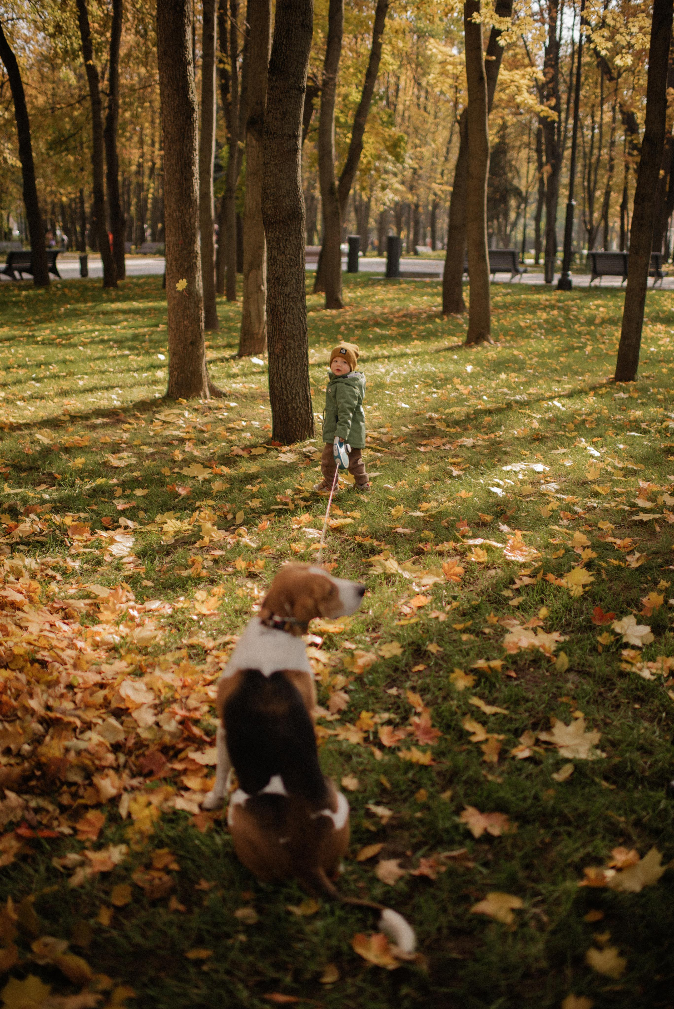 Карина, Игорь, Матвей и Василиса. Фотограф в Москве Анна Литвинова