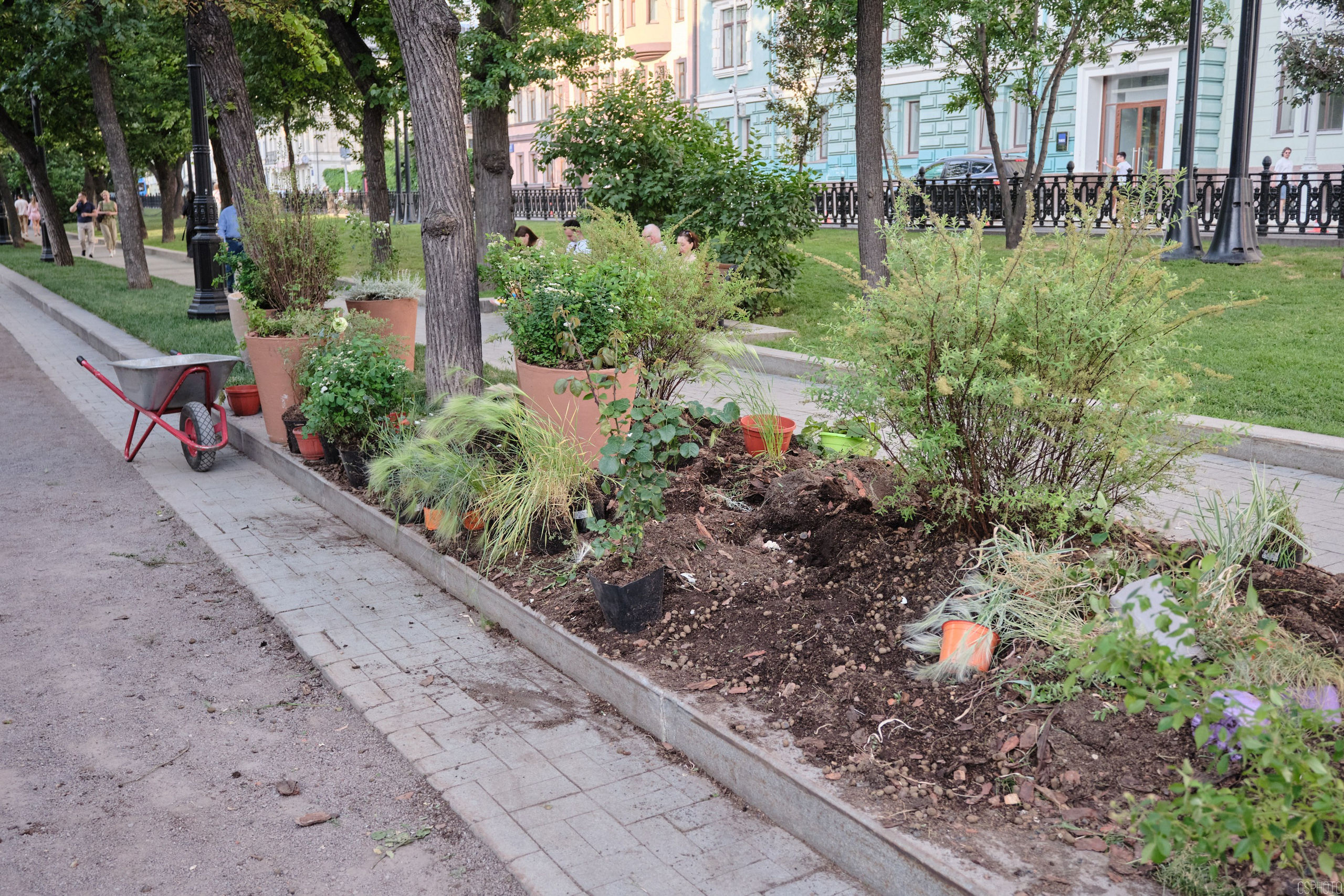 Бульвары для всех l Лето в Москве. Фотографъ Сергѣевъ. Поймать мгновеніе