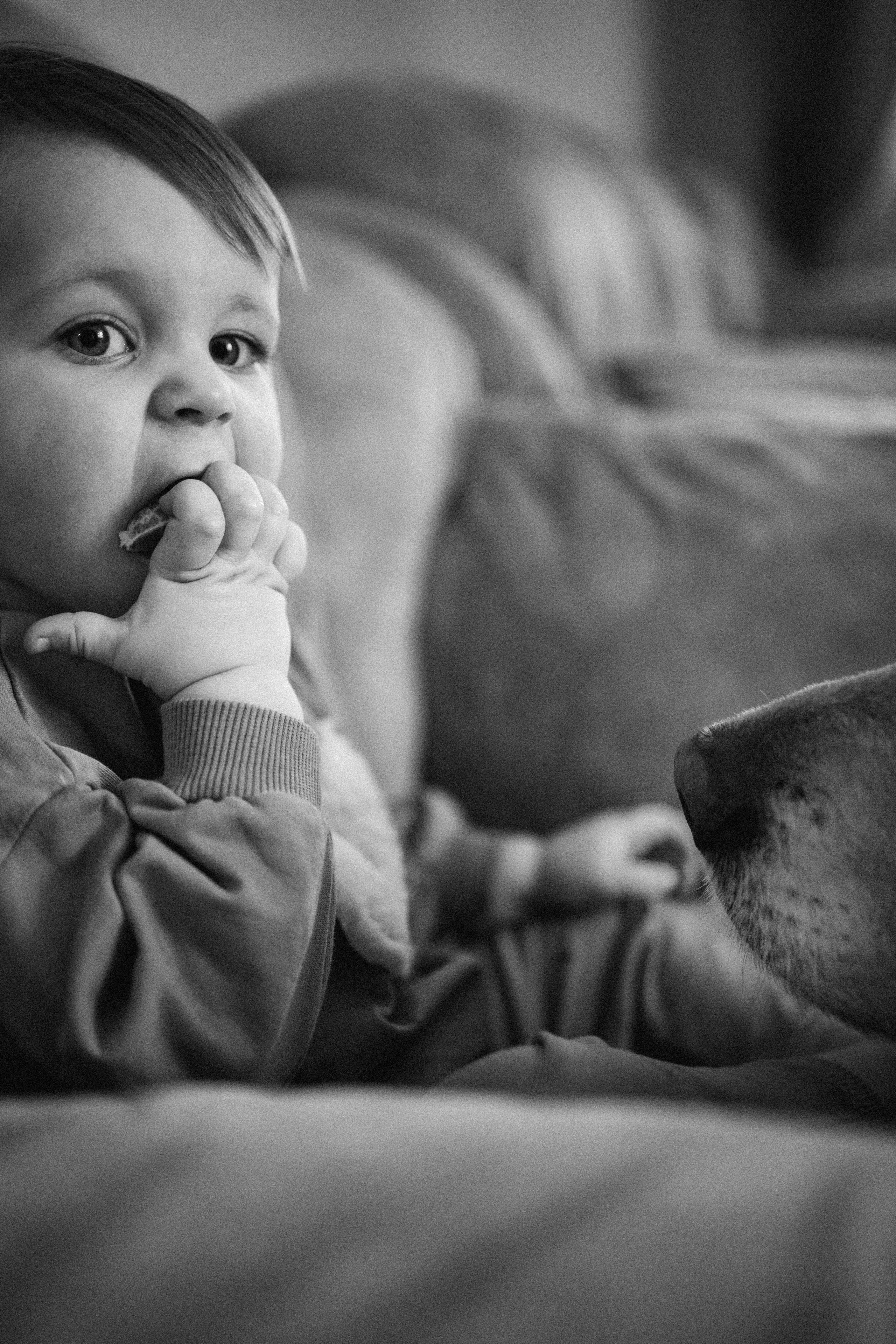 В гостях у Лёвы. Семейный lifestyle фотограф в Казани Ксения Верясова