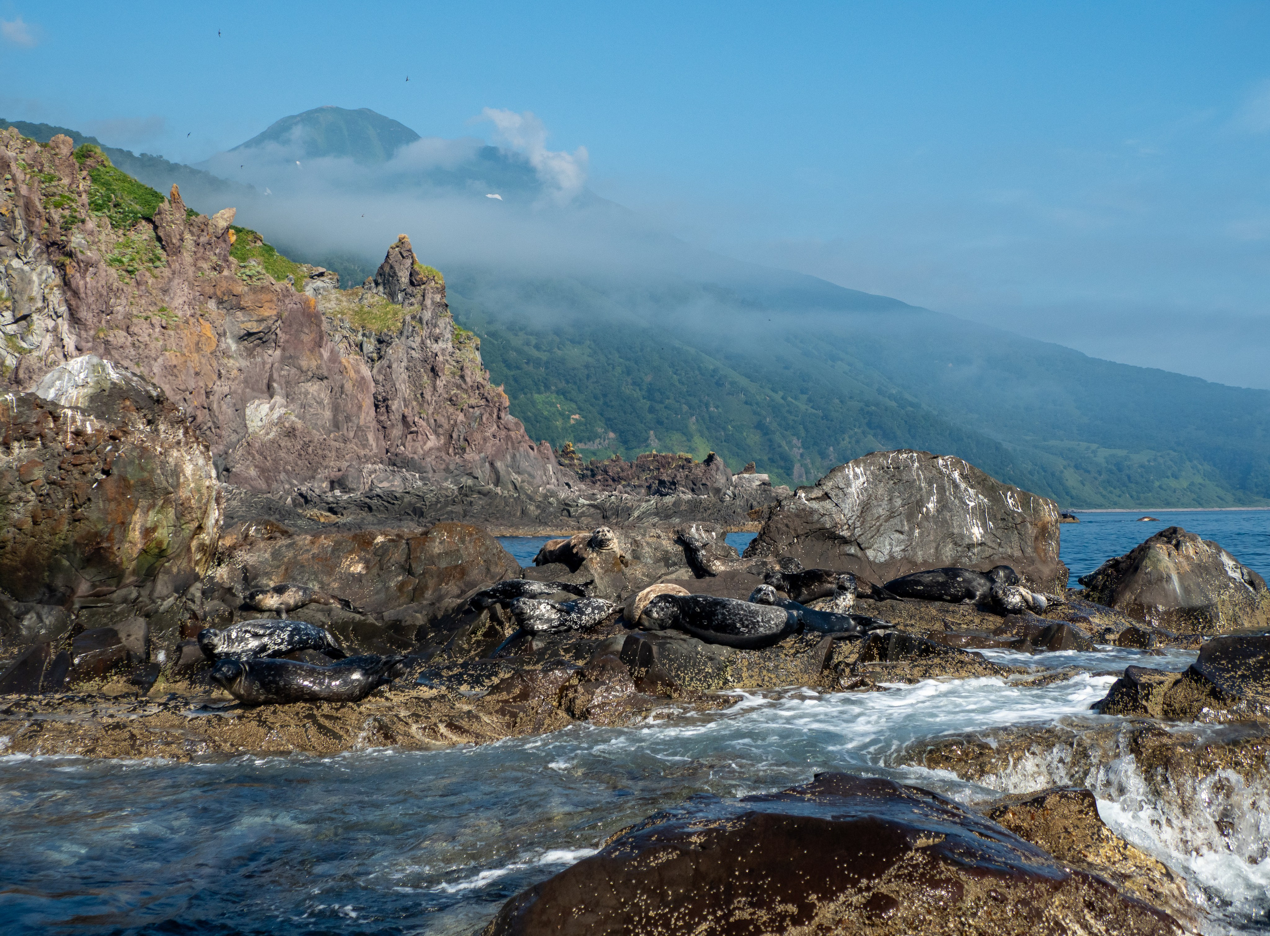 Итуруп. Фотограф Александр Головин