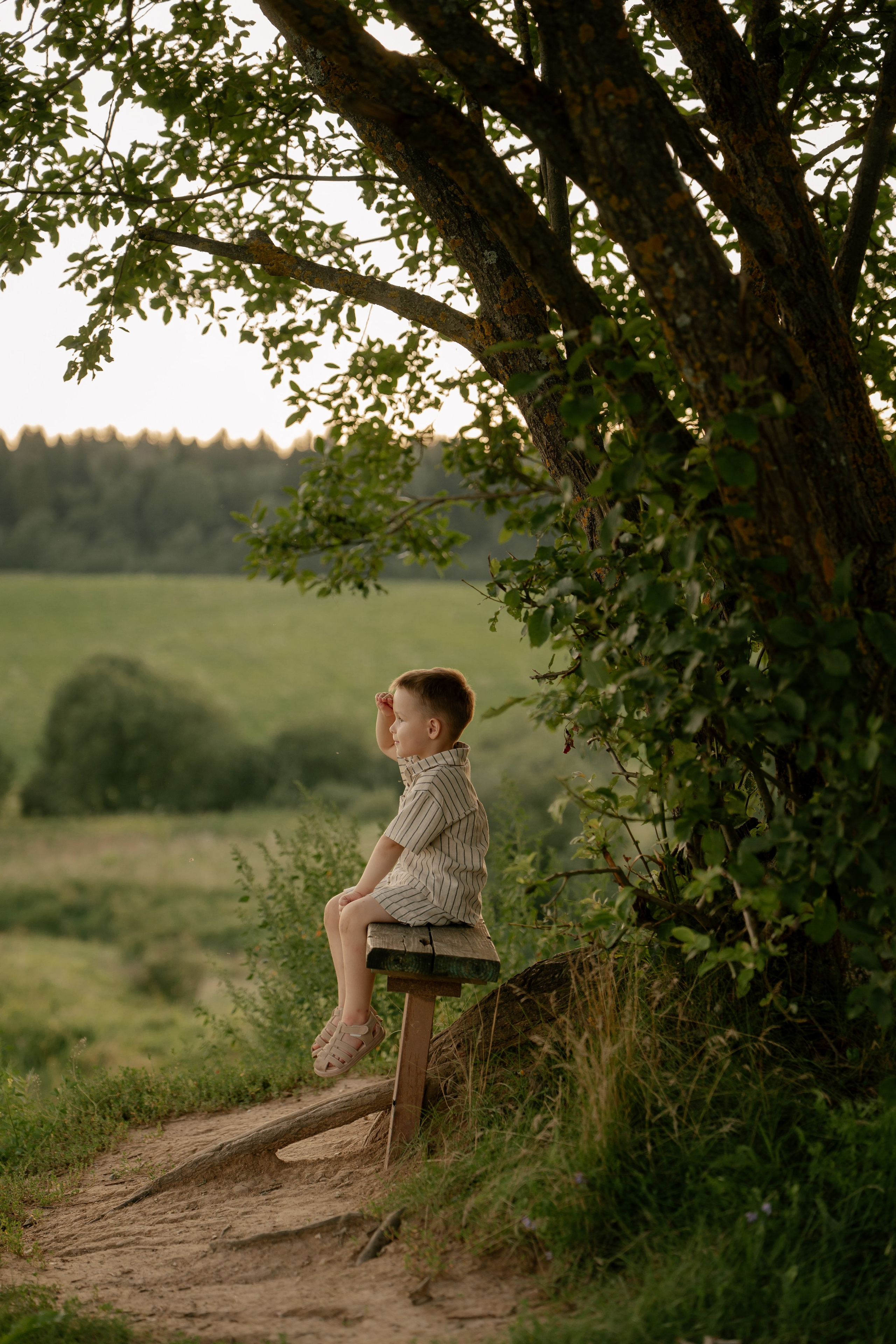 На закате. Свадебный и семейный фотограф в Москве и Красногорске — живые кадры | Анастасия Тихонова