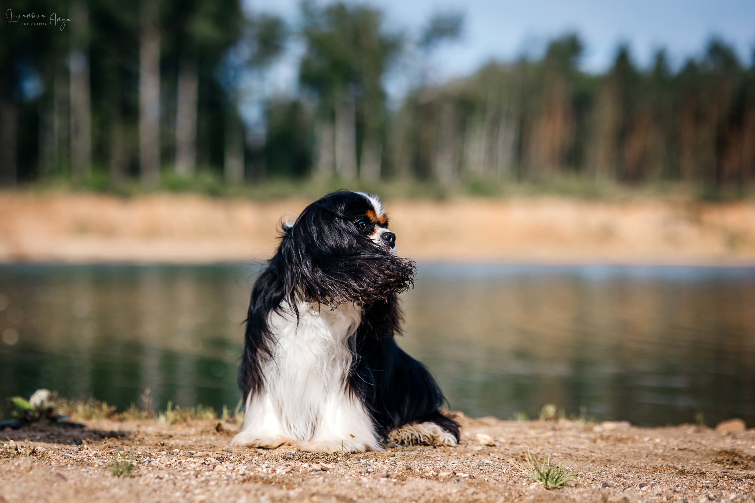 Троицкий карьер. Фотограф анималист Аня Ливанова | Рыбинск