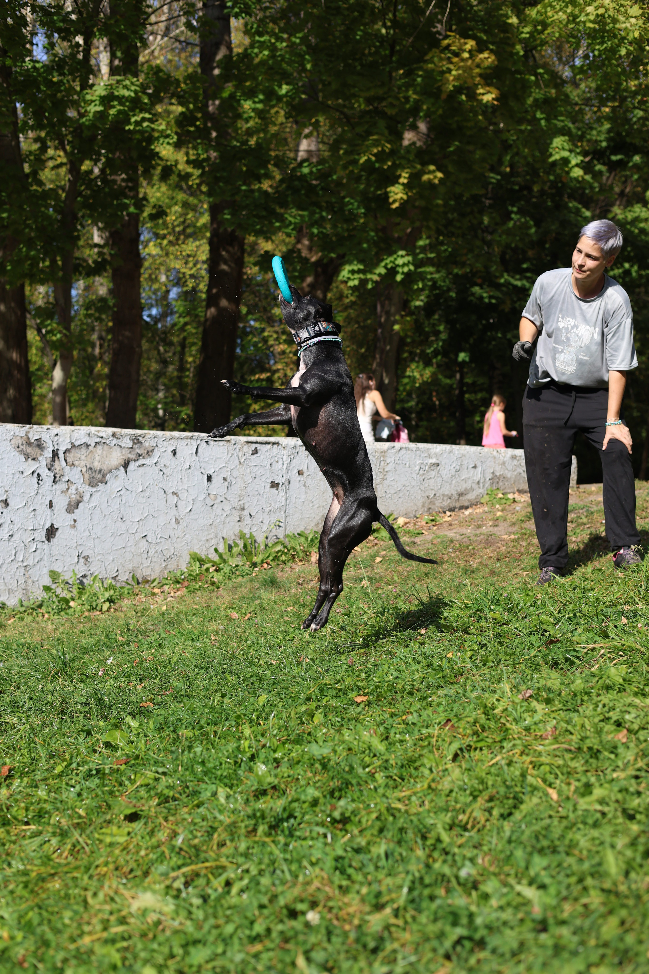Алена и Бора. Виктория Михайловская. Фотограф-анималист. Москва