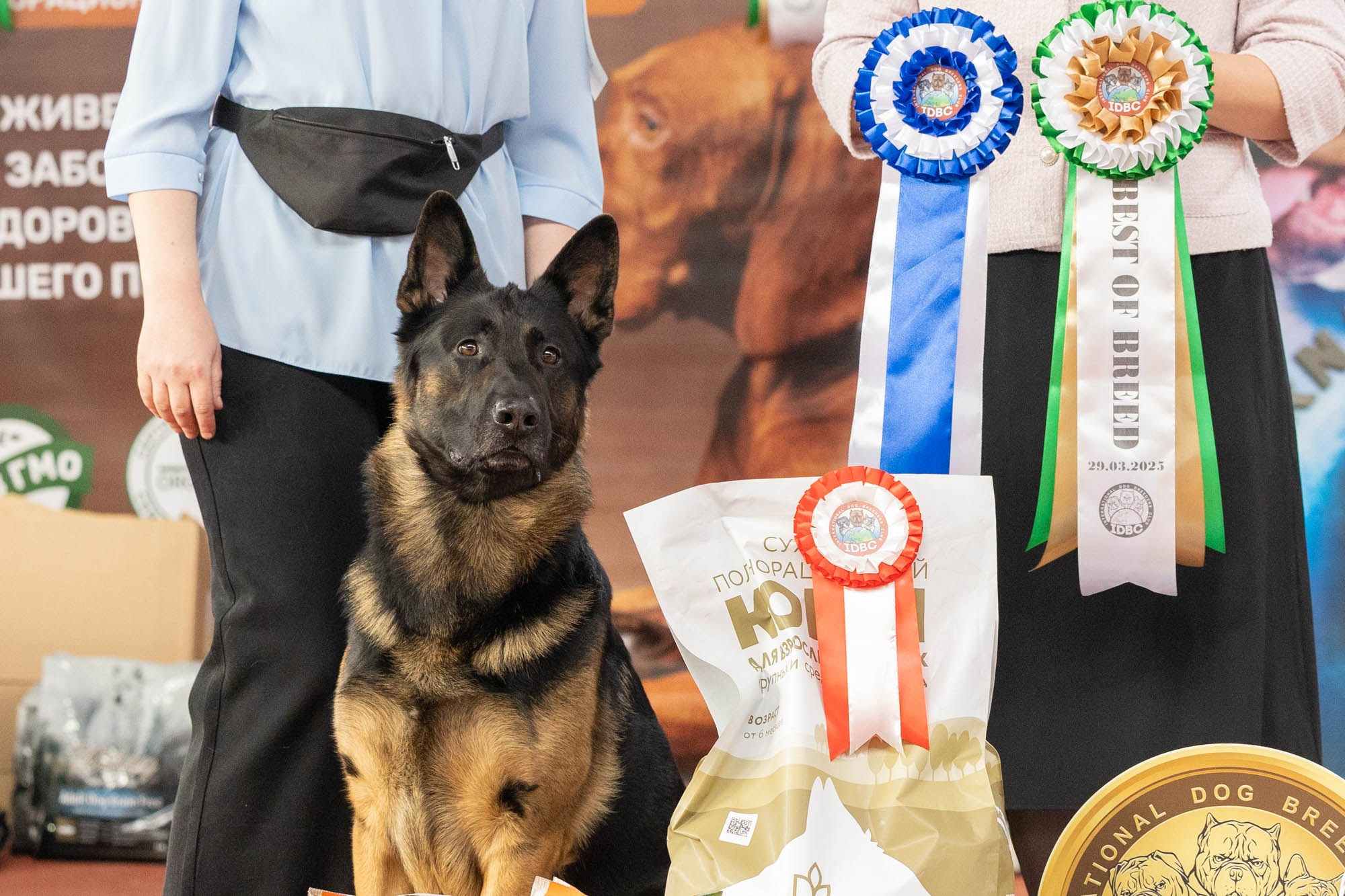 IDBC. Виктория Михайловская. Фотограф-анималист. Москва