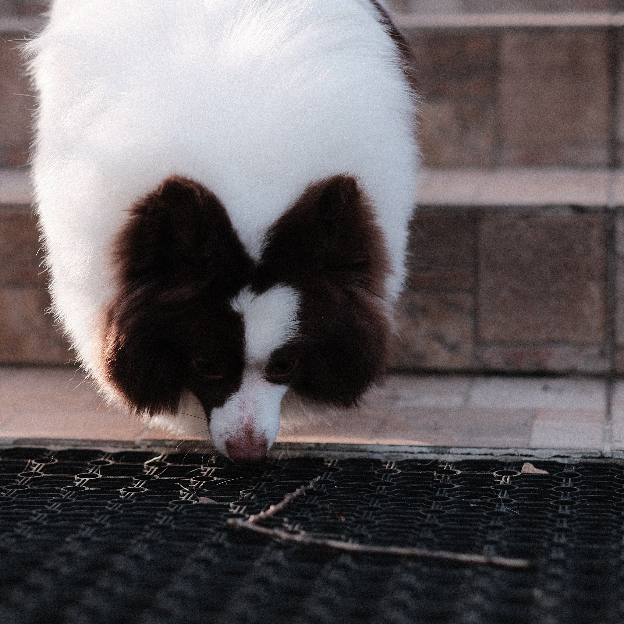 Аляска, Чарли, Пати и их люди. Дмитрий Бречалов