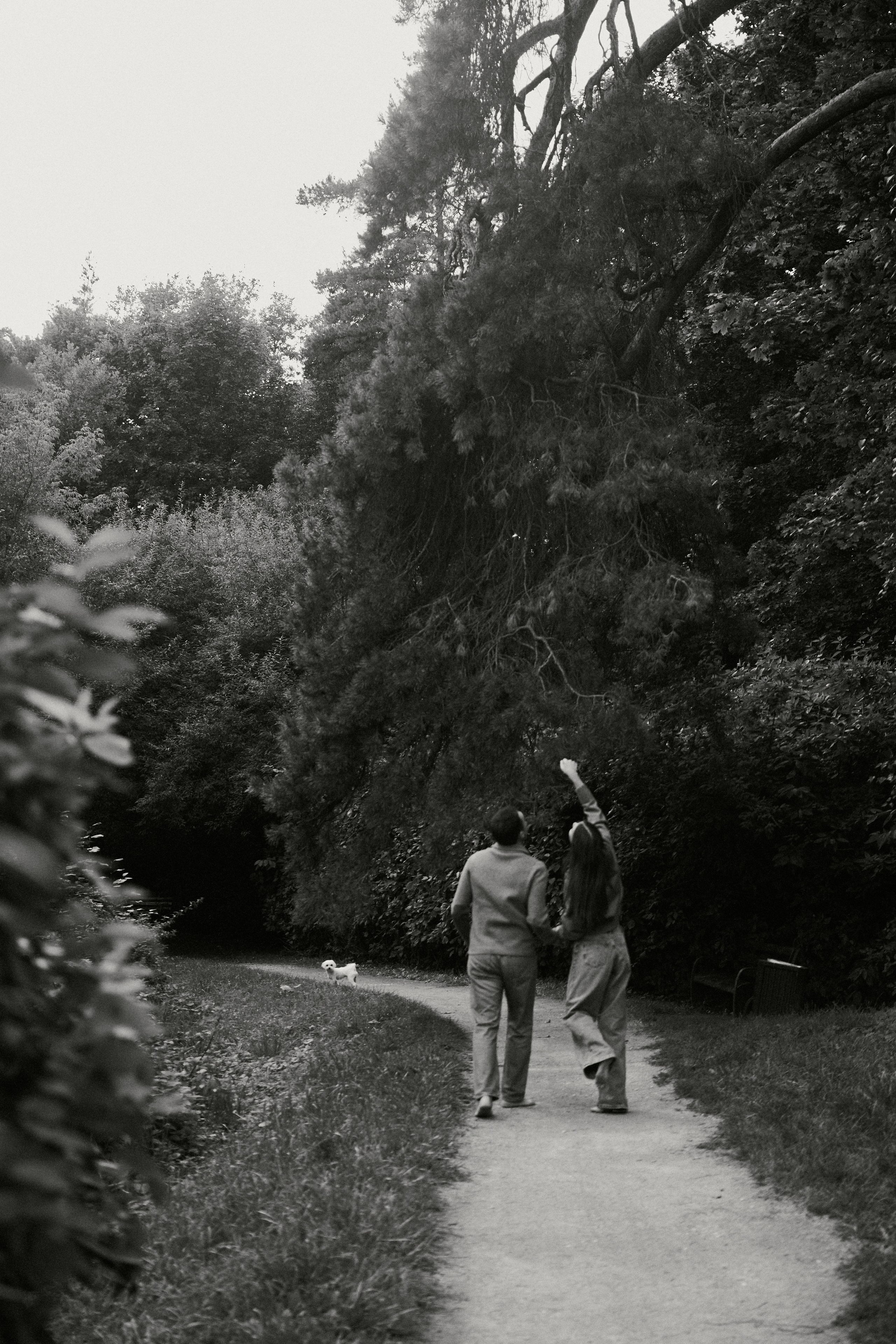 Илья + Ира. Семейный и детский фотограф Юлия Шох