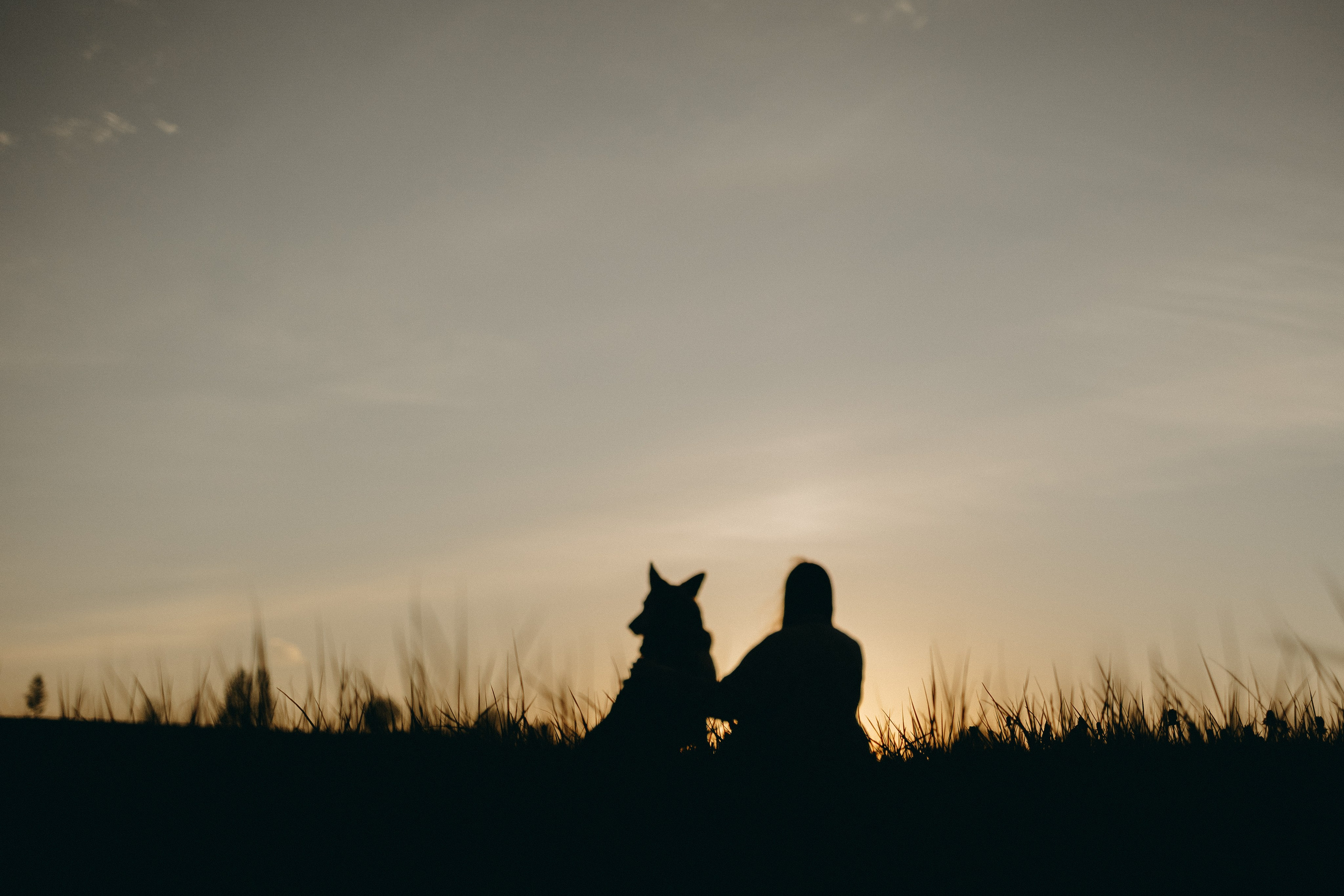 Саша и Зельда. Фотограф — Анималист | Санкт-Петербург