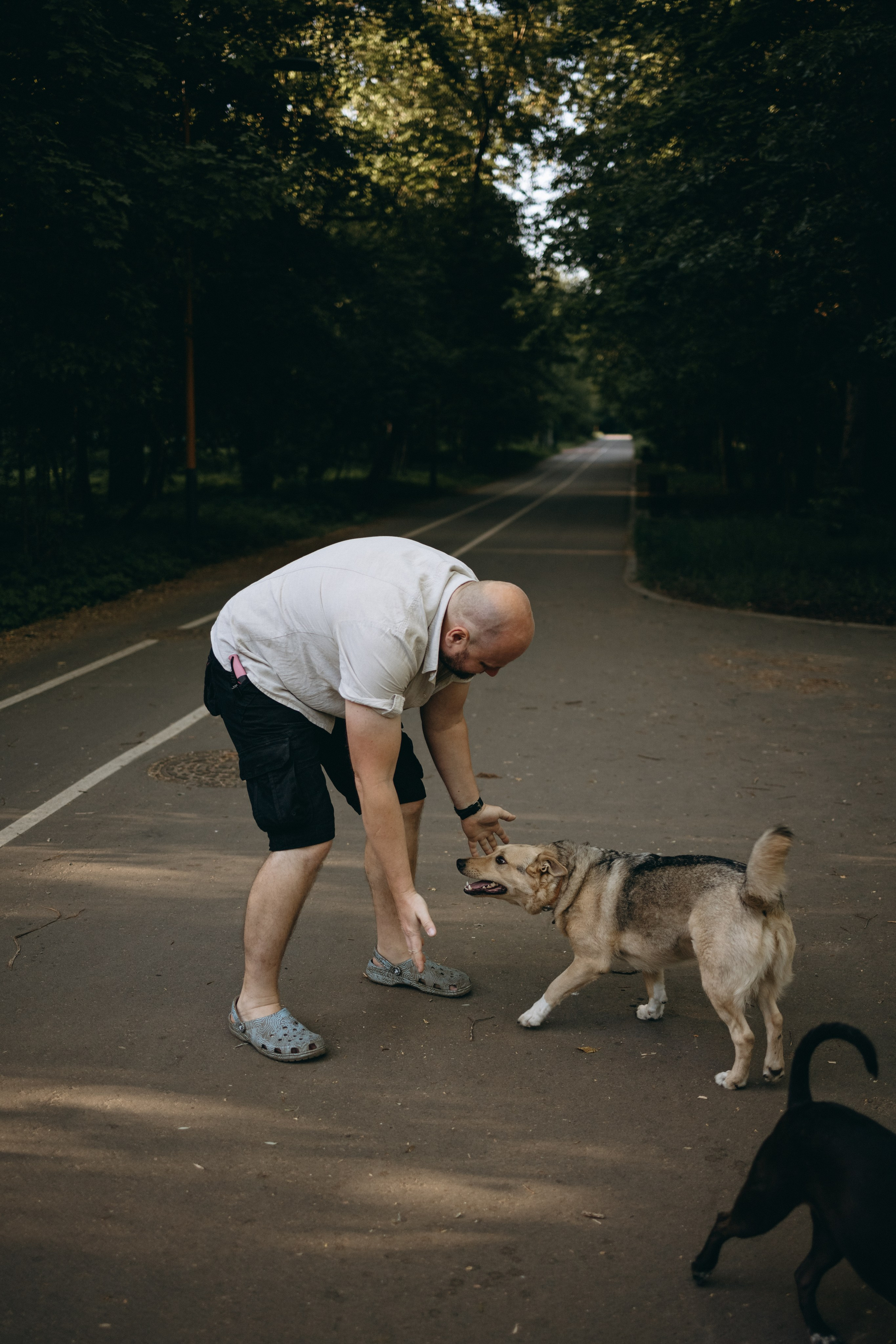 Татьяна, Сергей и их Булочка и Пончик. Фотограф — Анималист | Санкт-Петербург
