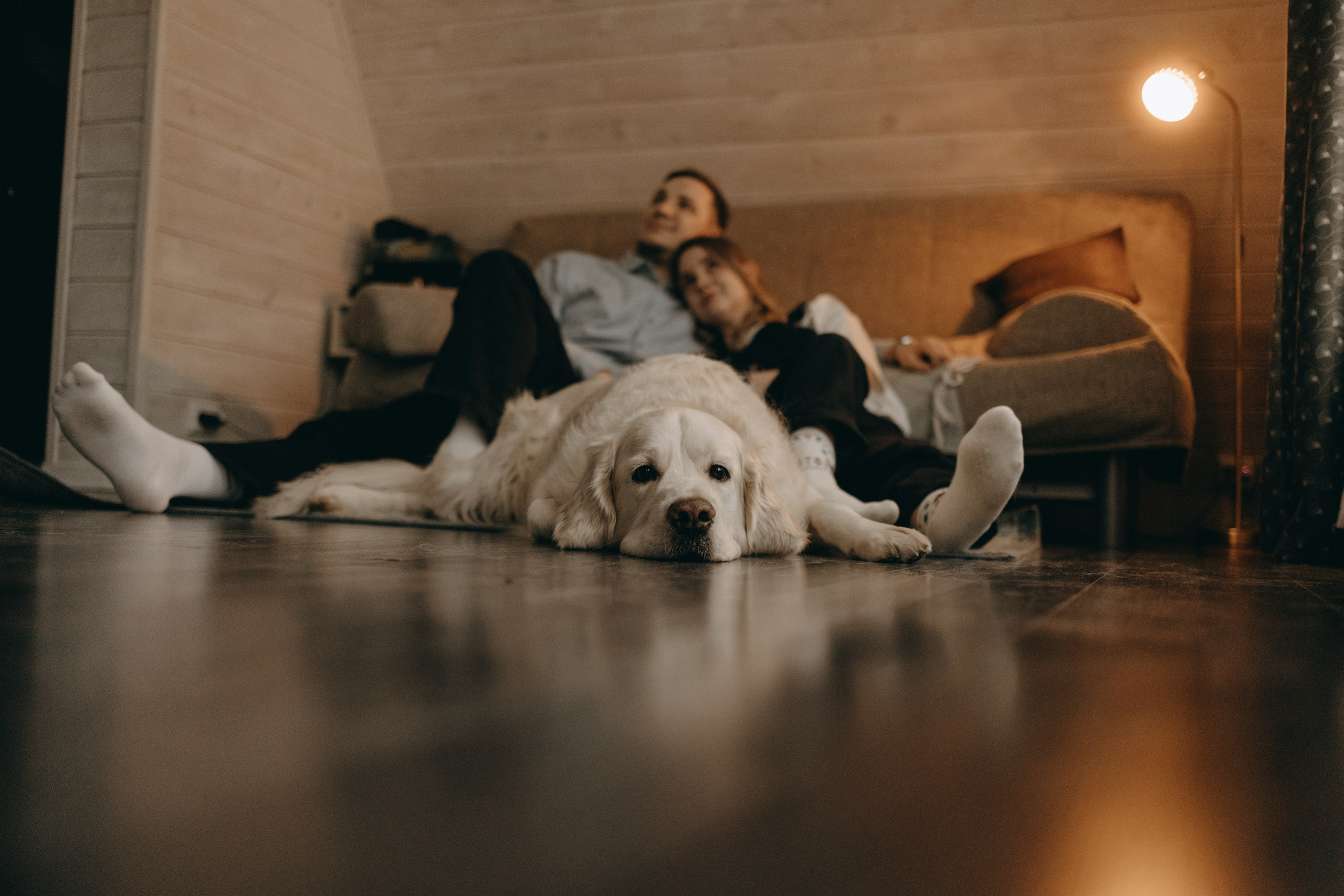 Оливер и его семья. Фотограф — Анималист | Санкт-Петербург